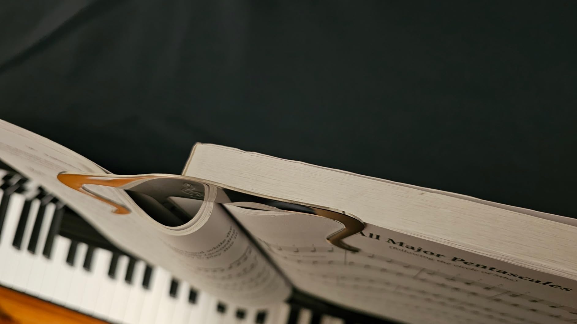 Metal Music Book Clip and Page Holder - Sheet Music Holders for Piano, Keyboard, Stands, and Books - Adorable Page Marker Clips with Velvet Storage and Carrying Bag - Strong, Sturdy - Customer Photo 2