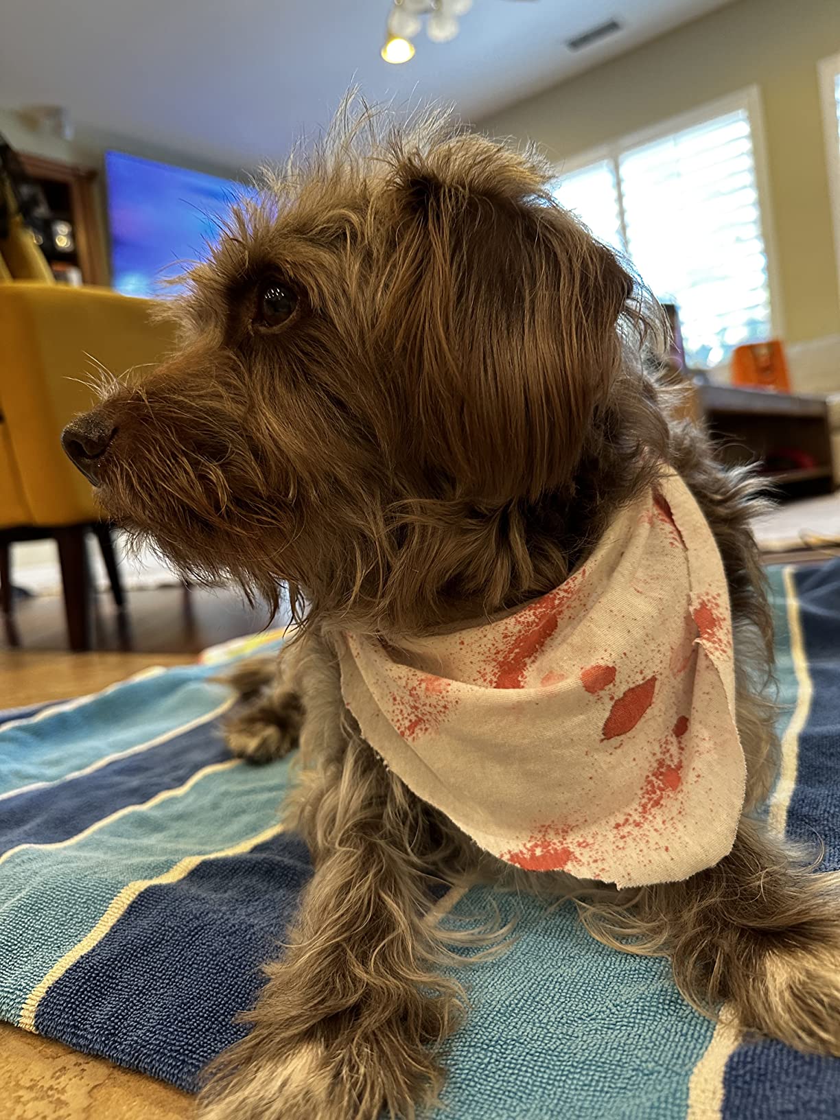 BLOODY MARY Fake Blood Make Up Spray Body Paint - 0.25oz - For Cosplay, Horror Costume, Theater Blood, Vampire Accessories, Scary Things - Skin Friendly Washable Looks Realistic Thick Blood - Customer Photo 2