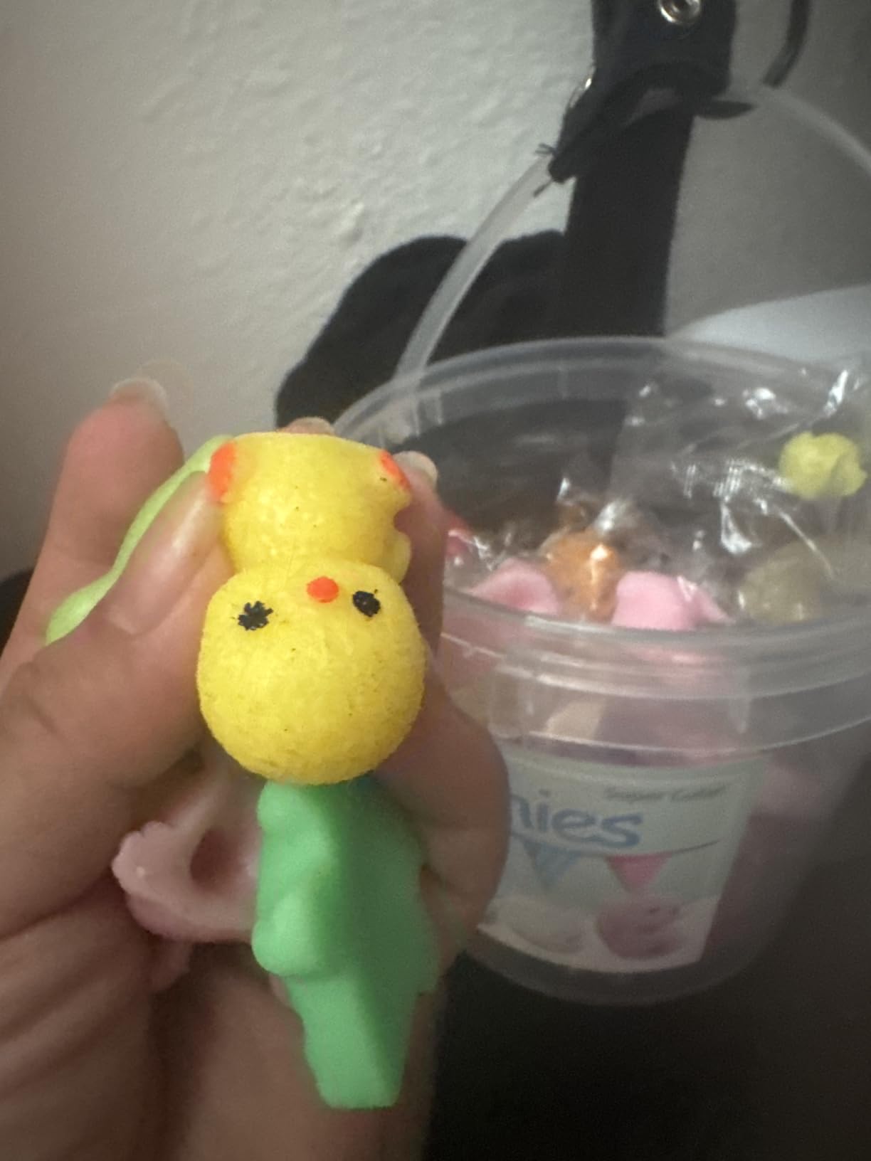 KINGYAO Squishies Squishy Toy 24pcs Party Favors for Kids Mochi Squishy Toy moji Kids Mini Kawaii squishies Mochi Stress Reliever Anxiety Toys Easter Basket Stuffers fillers with Storage Box Customer Review KINGYAO Squishies Squishy Toy 24pcs Party Favors for Kids Mochi Squishy Toy moji Kids Mini Kawaii squishies Mochi Stress Reliever Anxiety Toys Easter Basket Stuffers fillers with Storage Box - Customer Photo 1