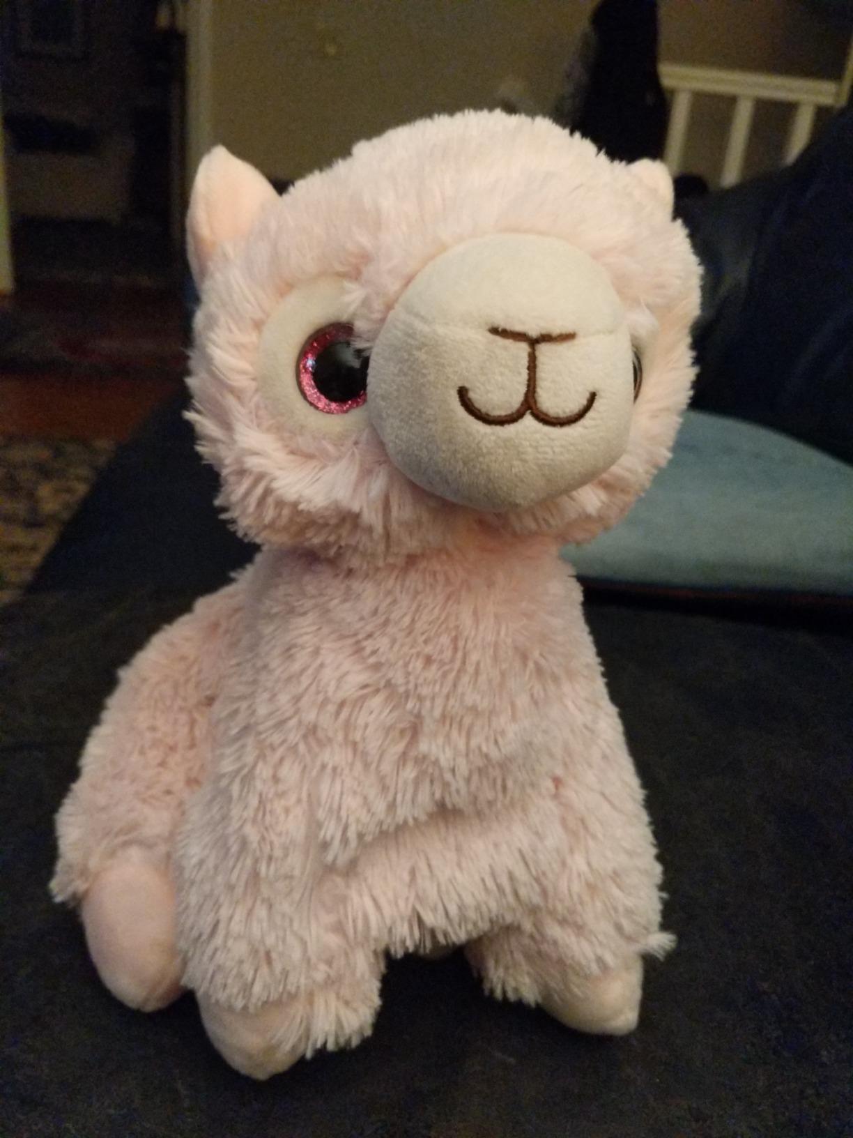 Warmies Microwavable French Lavender Scented Plush Llama Customer Review Warmies Microwavable French Lavender Scented Plush Llama - Customer Photo 1