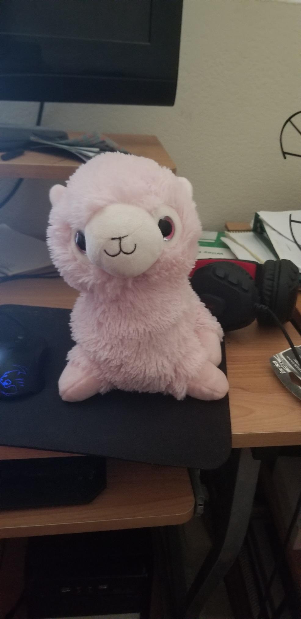 Warmies Microwavable French Lavender Scented Plush Llama Customer Review Warmies Microwavable French Lavender Scented Plush Llama - Customer Photo 2