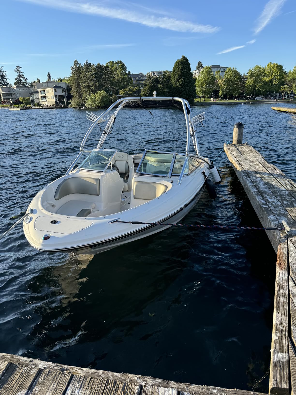 Botepon Boat Bungee Dock Lines, Boating Gifts for Men, Boat Accessories, Pontoon Accessories, Mooring Lines for Bass Boat, 4 Feet - Customer Photo 2