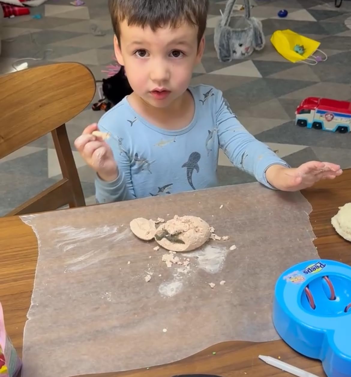 Dan&Darci Dig a Dozen Dino Egg Kit for Kids - Dinosaur Toys Gift 3-12 Year Old - 12 Eggs & Surprise Dinosaurs - Basket Stuffers - Science STEM Activities - Boy Toy Party Gifts for Boys & Girls - Customer Photo 2