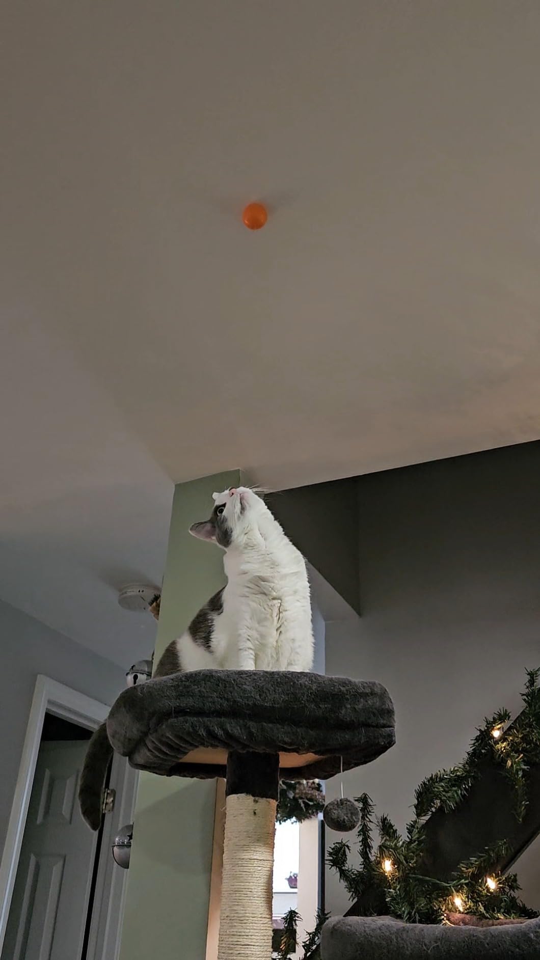 Crayola Globbles Fidget Toy (6ct), Stocking Stuffers for Kids, White Elephant Gifts, Sticky Stress Ball for Adults & Kids, Squishy Balls, Calming Sensory Toys for Stress Relief - Customer Photo 1