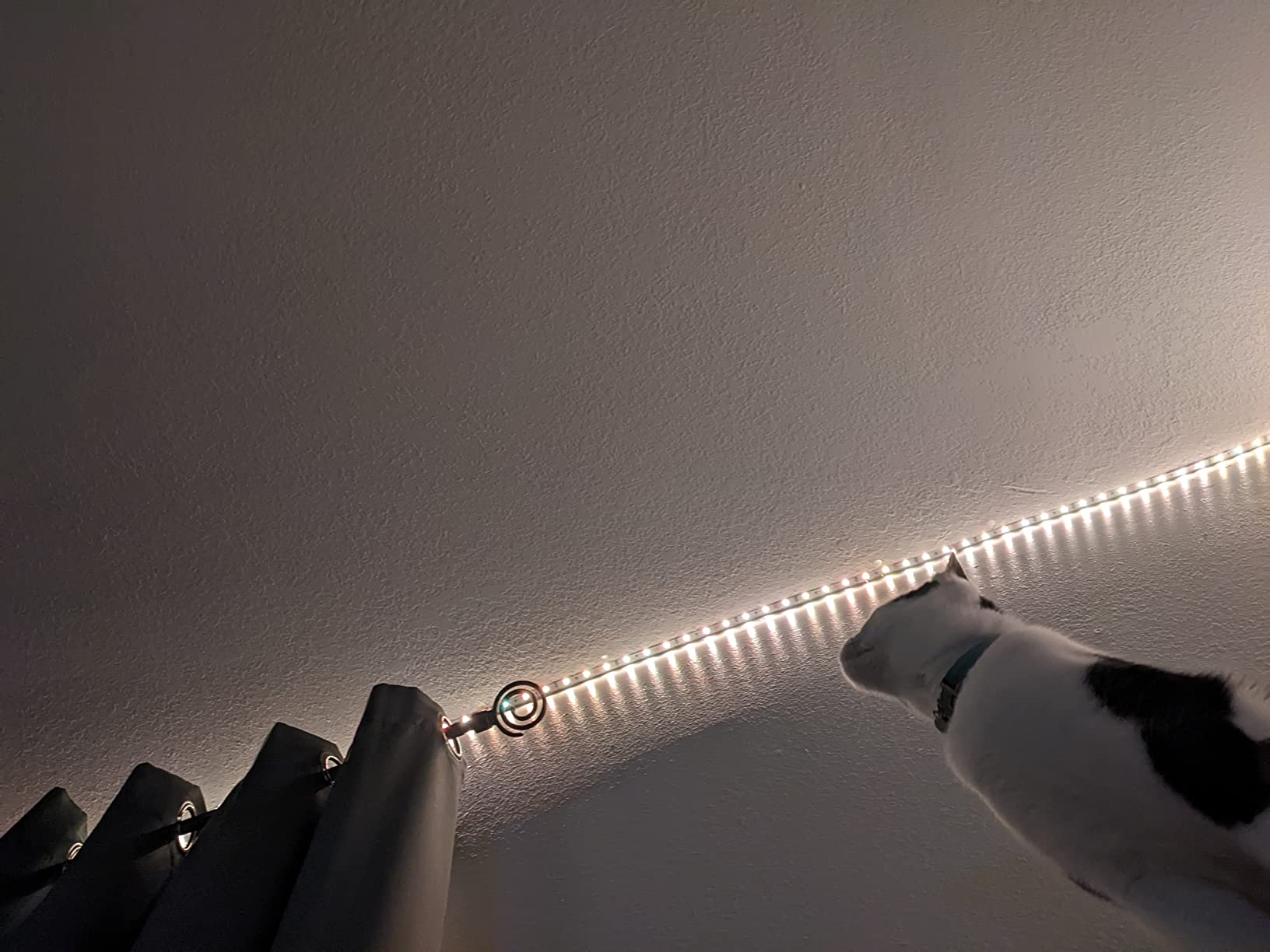 Crayola Globbles Fidget Toy (6ct), Stocking Stuffers for Kids, White Elephant Gifts, Sticky Stress Ball for Adults & Kids, Squishy Balls, Calming Sensory Toys for Stress Relief - Customer Photo 2