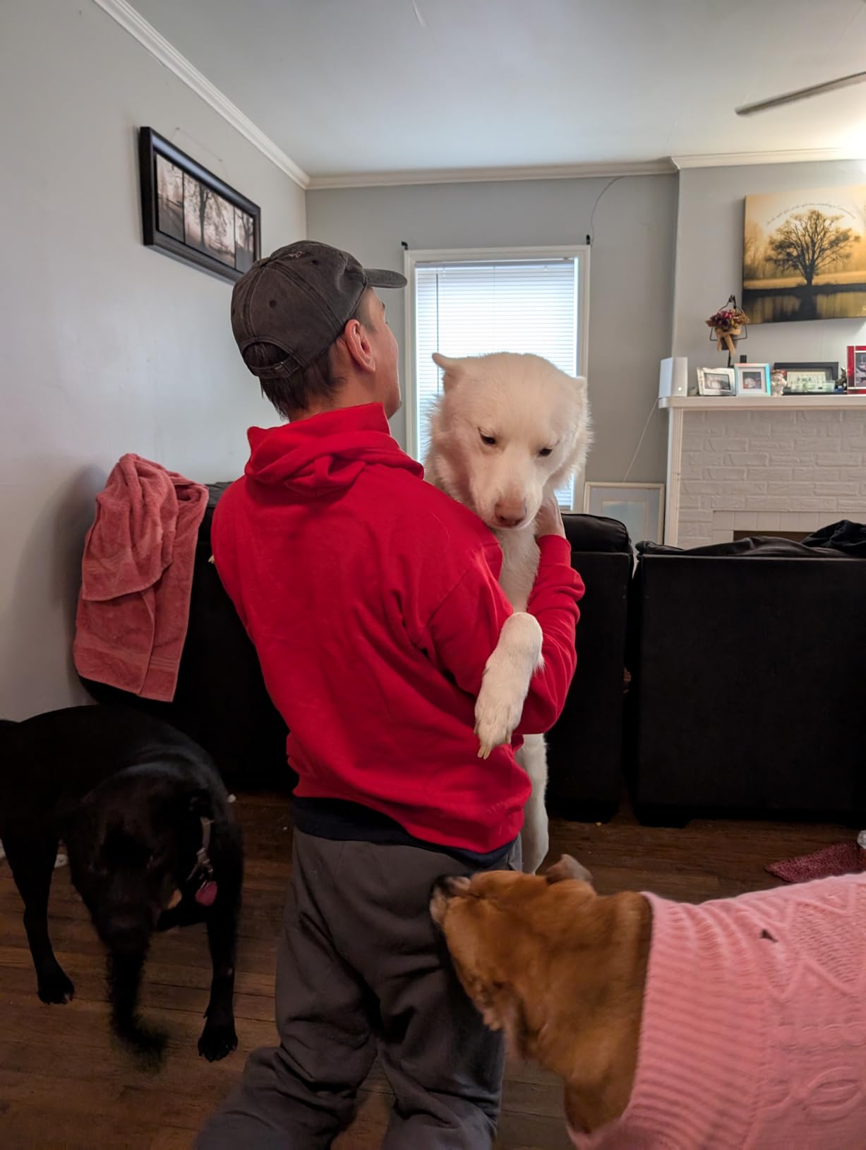 Zigzagger Men's Slip On Moccasin Slippers, Indoor/Outdoor Warm Fuzzy Comfy House Shoes, Fluffy Wide Loafer Slippers Customer Review Zigzagger Men's Slip On Moccasin Slippers, Indoor/Outdoor Warm Fuzzy Comfy House Shoes, Fluffy Wide Loafer Slippers - Customer Photo 1