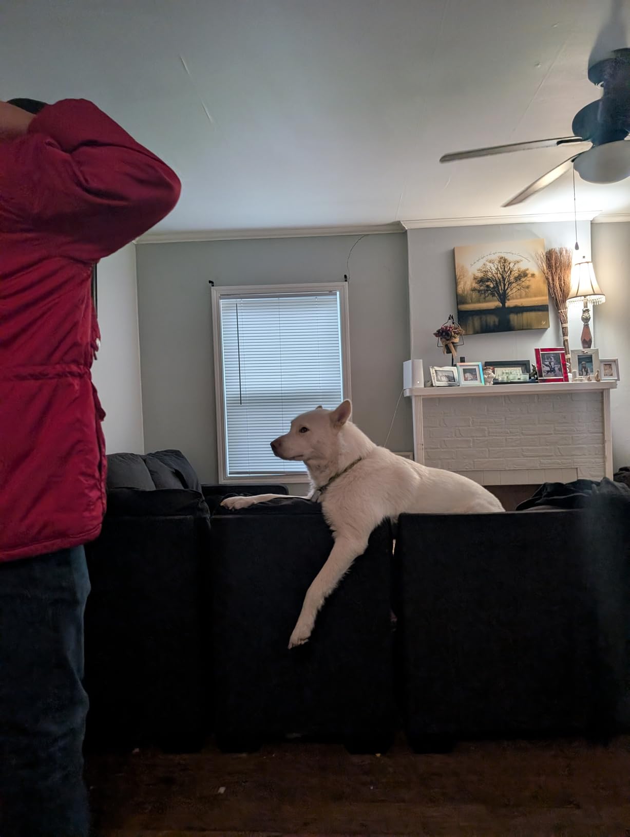 Zigzagger Men's Slip On Moccasin Slippers, Indoor/Outdoor Warm Fuzzy Comfy House Shoes, Fluffy Wide Loafer Slippers - Customer Photo 1