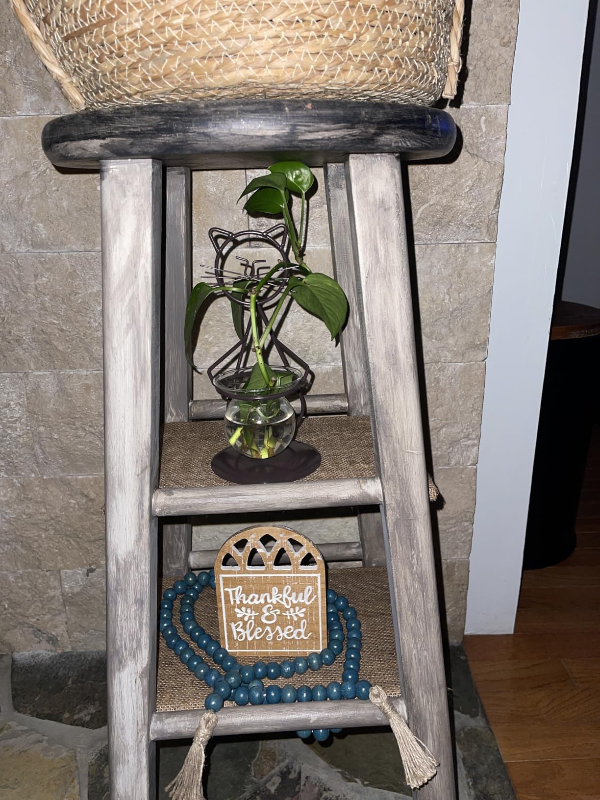 Marbrasse Desktop Glass Planter Vase Holder, Modern Creative Cat Plant Terrarium Metal Stand for Hydroponics Plants Home Garden Wedding Decoration Outdoor Planter Ideas (Style 2) - Customer Photo 1