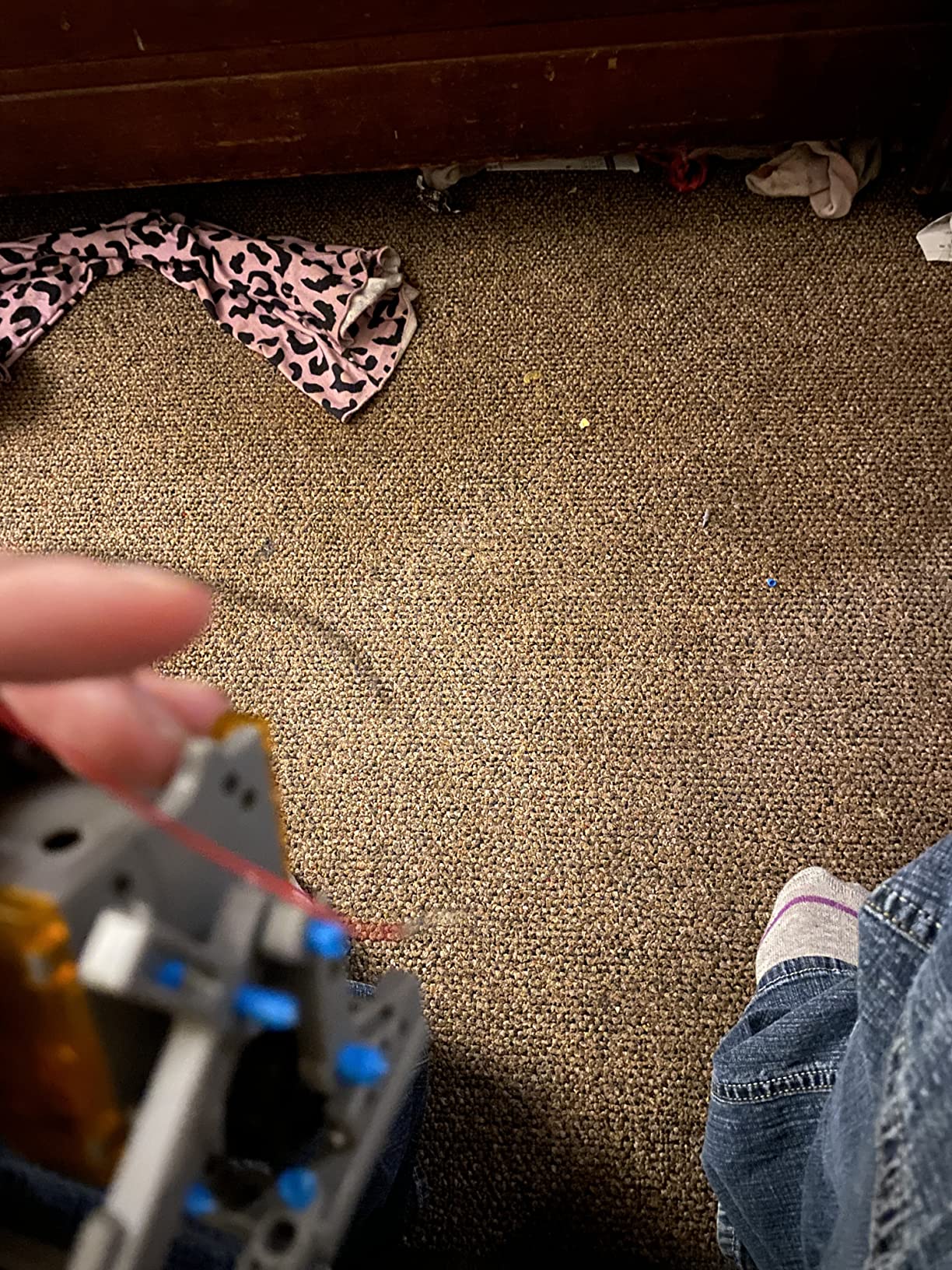 Sillbird 12-in-1 Solar Robot Building Kit Christmas STEM Gift for Boys Aged 8-13, DIY Science Educational Robotic Toys for Kids Teens Birthday, Powered by The Sun with 190 Pieces - Customer Photo 2