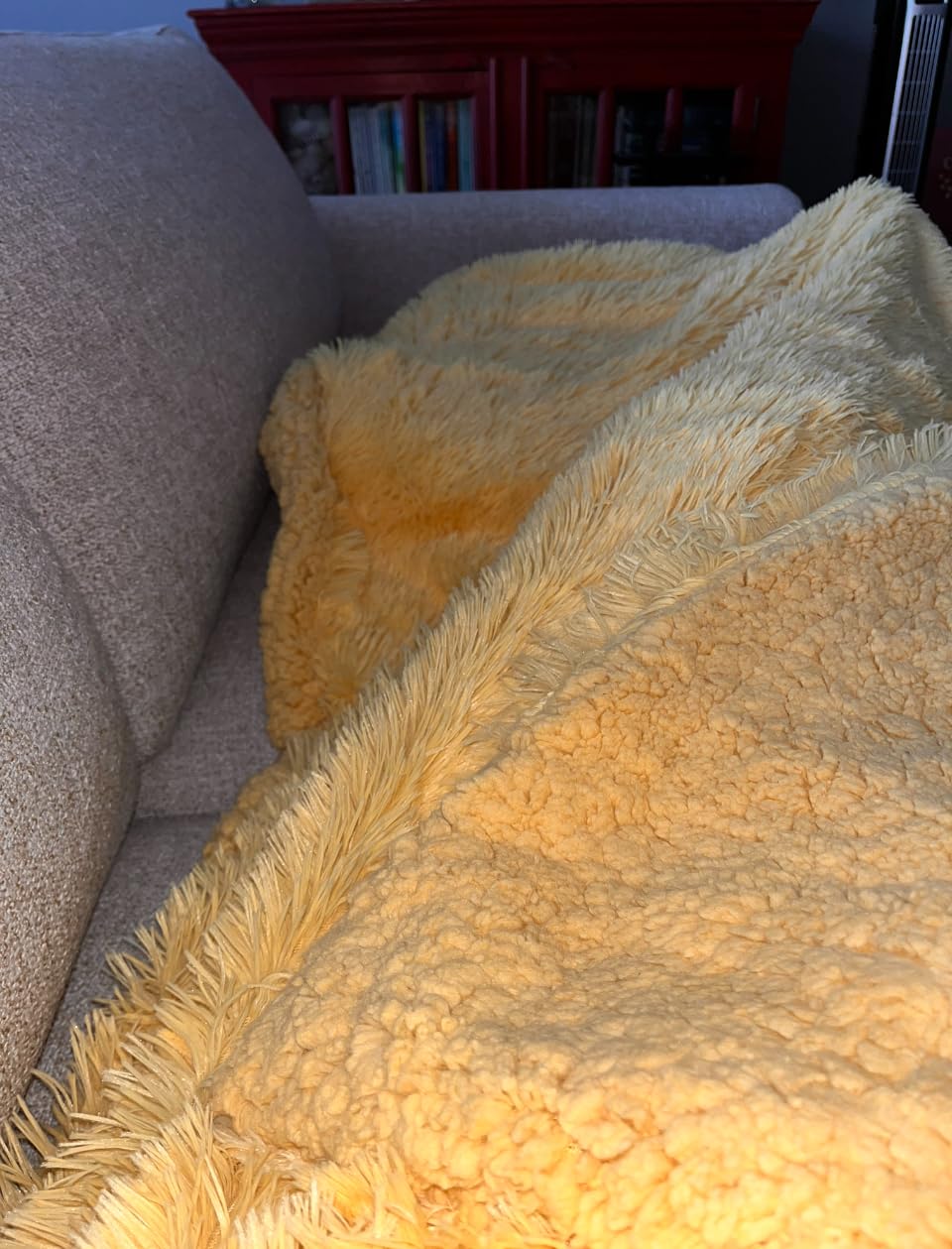 Bedsure GentleSoft Fluffy Fuzzy Faux Fur Throw Blanket for Couch, Soft Sherpa Fleece Cozy Gifts for Women, Plush Bed Blanket Christmas Room Decor for Men, Thick Warm Minky Teen Gifts Winter Bedding - Customer Photo 1