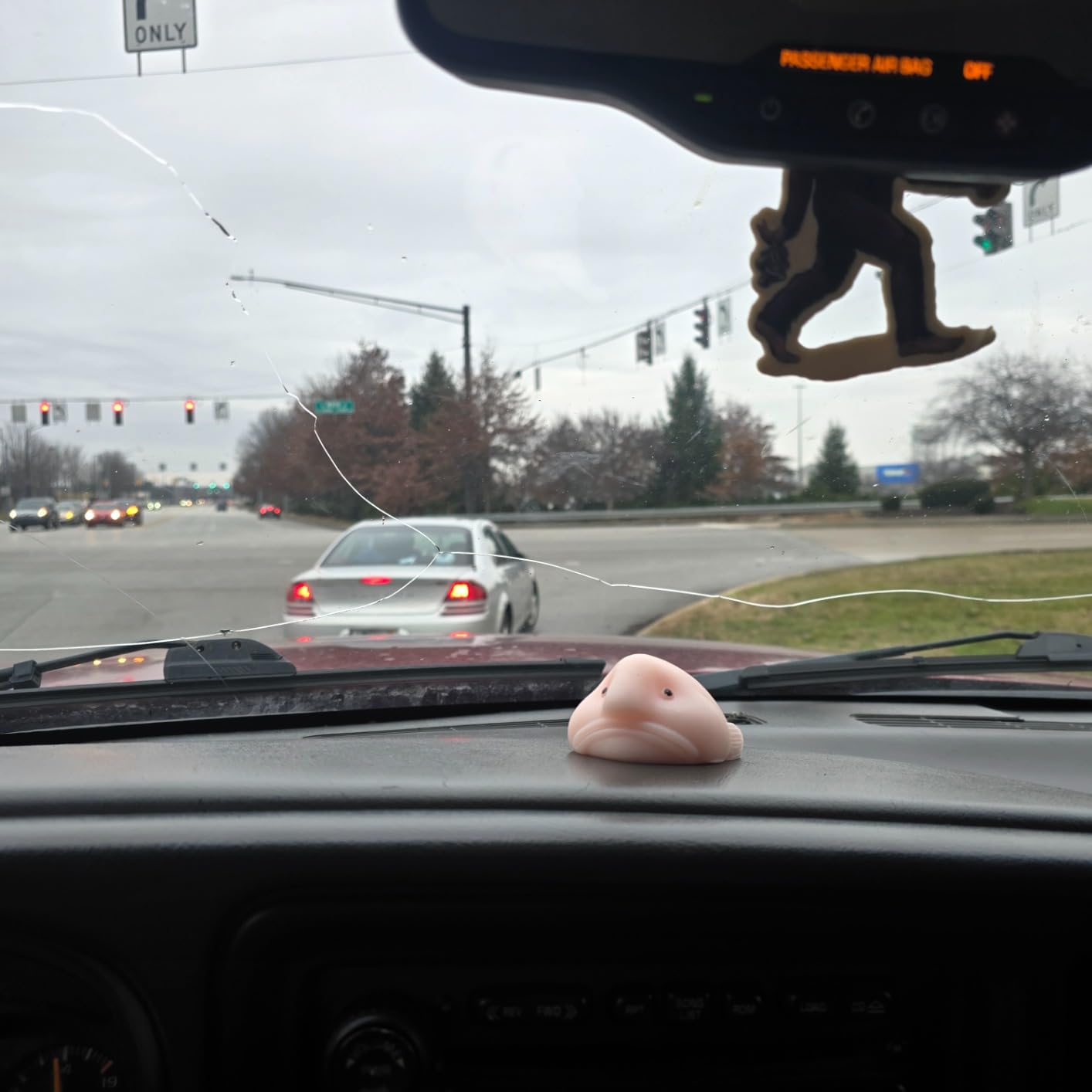 Accoutrements Sunny The Blobfish - Novelty Toy- Squishy Toy - Customer Photo 2