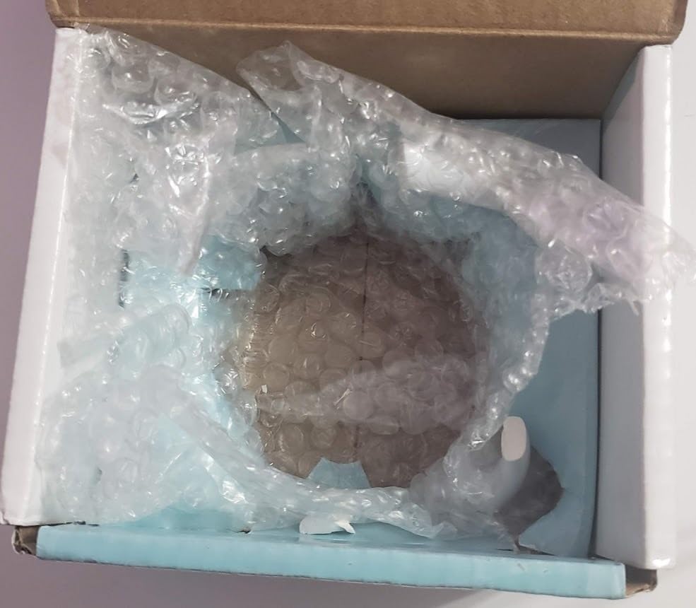 Trend Setters Sorry I Can't I'm Watching True Crime Documentaries - One 11 oz Ceramic Coffee Mug - Unofficial Crime Detective - Customer Photo 5