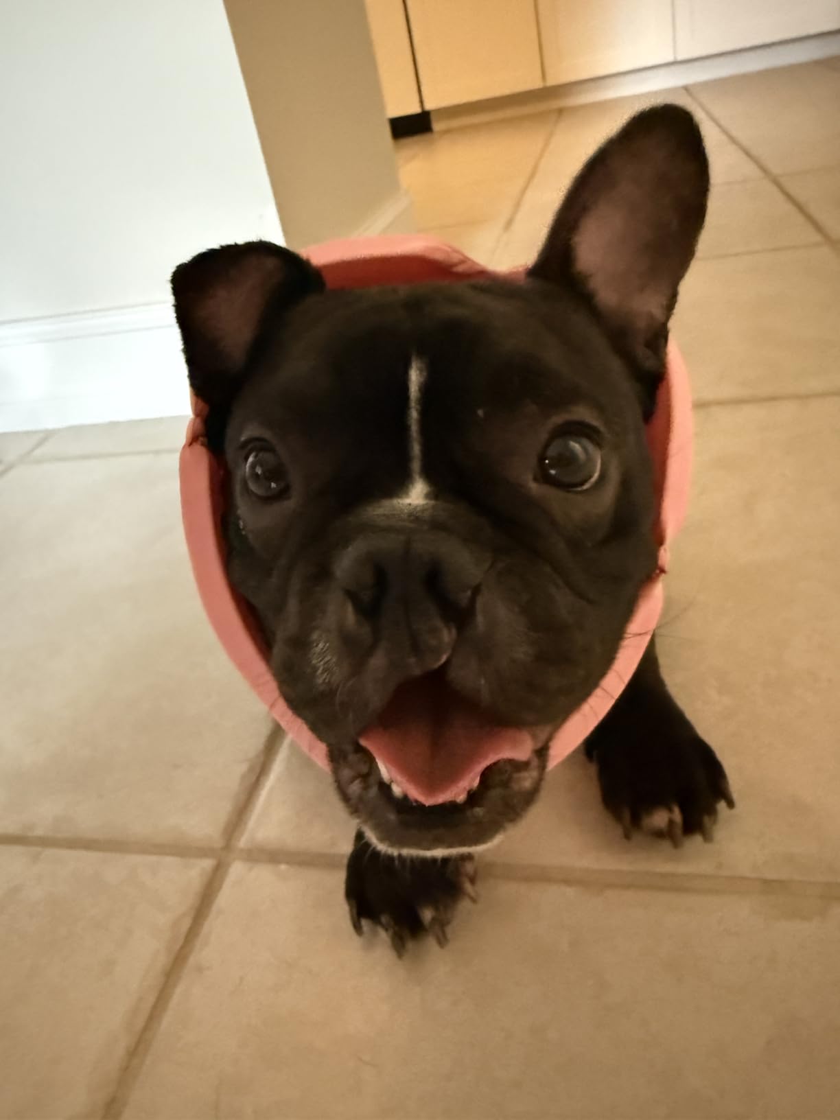 TheraICE Migraine Relief Cap, Soothing Headache Hat Ice Pack Mask, Face Cold Compress Cooling Gel Head Wrap Products for Tension, Stress & Hangover - Customer Photo 2