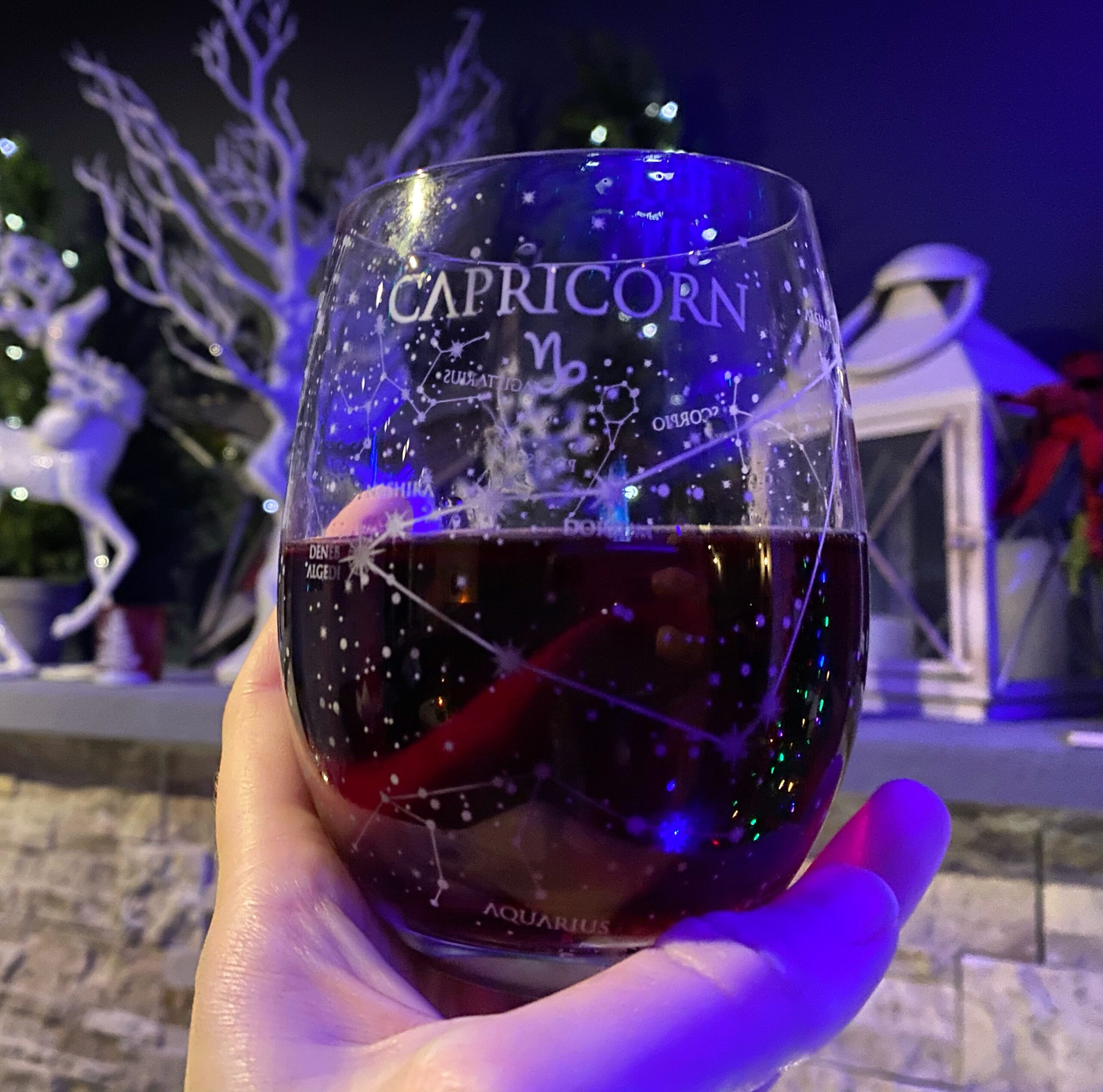 Greenline Goods Capricorn Stemless Wine Glasses Zodiac Capricorn Set Hand Etched 15 oz Set of 2 - Astrology Sign Glassware - Customer Photo 1