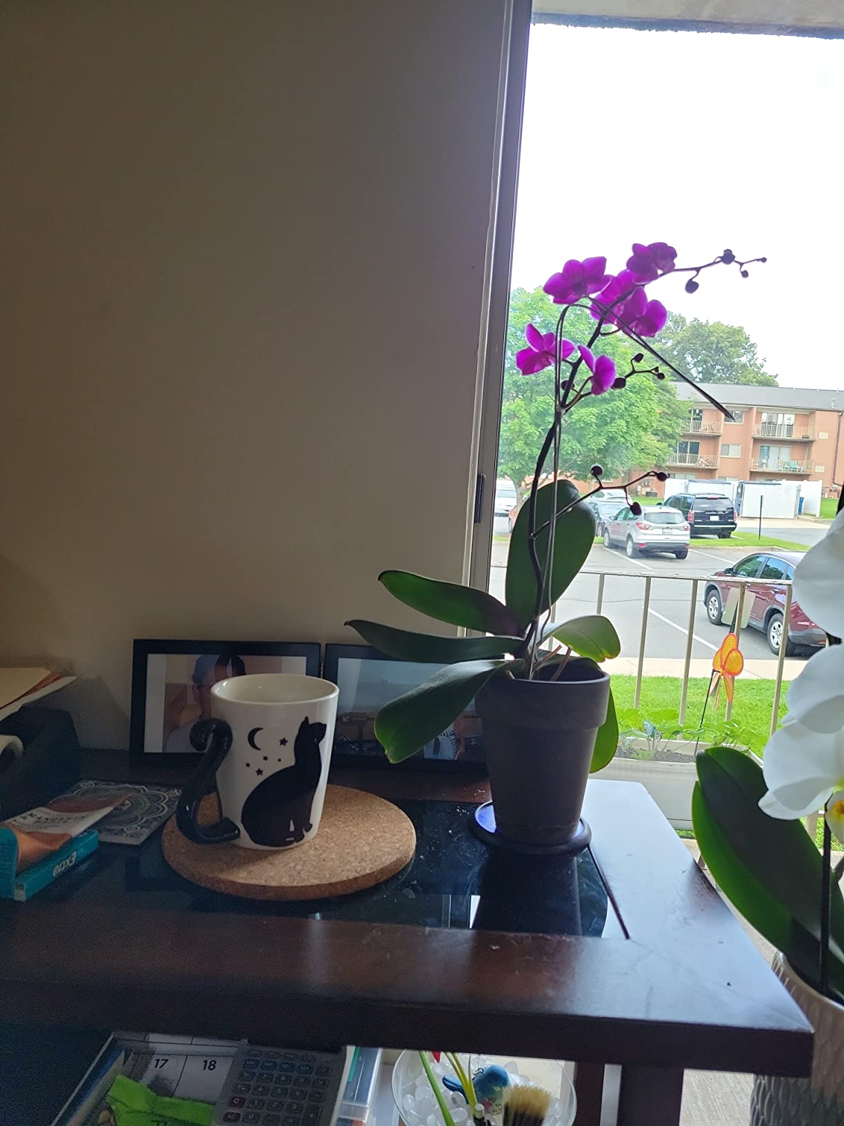 infloatables Men, Women, Adults & Kids Color Changing Coffee Mug | Halloween mugs | Cute Tea Cups & Coffee Mugs | Cool Novelty & Unique Gifts (12oz) Customer Review infloatables Men, Women, Adults & Kids Color Changing Coffee Mug | Halloween mugs | Cute Tea Cups & Coffee Mugs | Cool Novelty & Unique Gifts (12oz) - Customer Photo 2