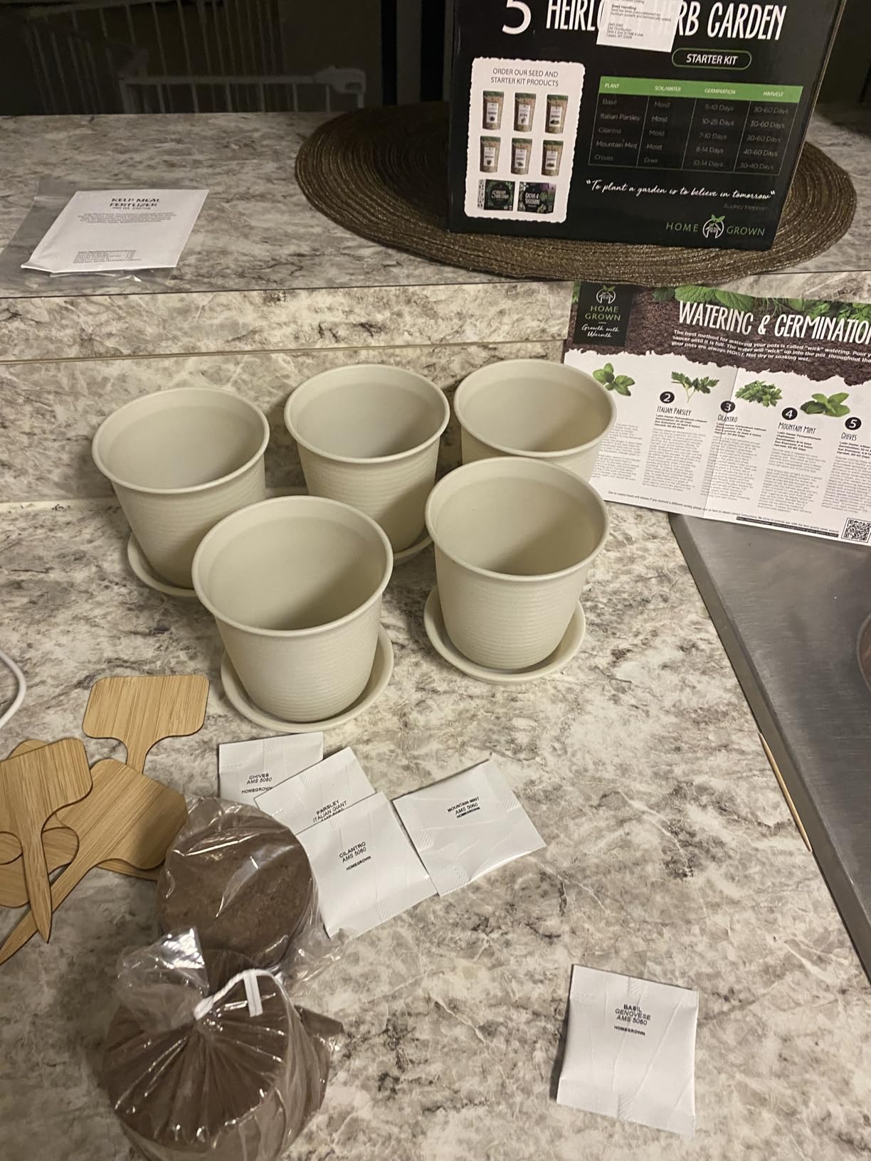 Bonsai Tree Kit Gifts for Men & Women - Grow 4 Bonsai Trees - Unique Gardening Crafts for Adults, DIY Hobbies for Plant Lovers & Gardeners - Unusual Christmas Gift Ideas for Mom & Dad - Customer Photo 1