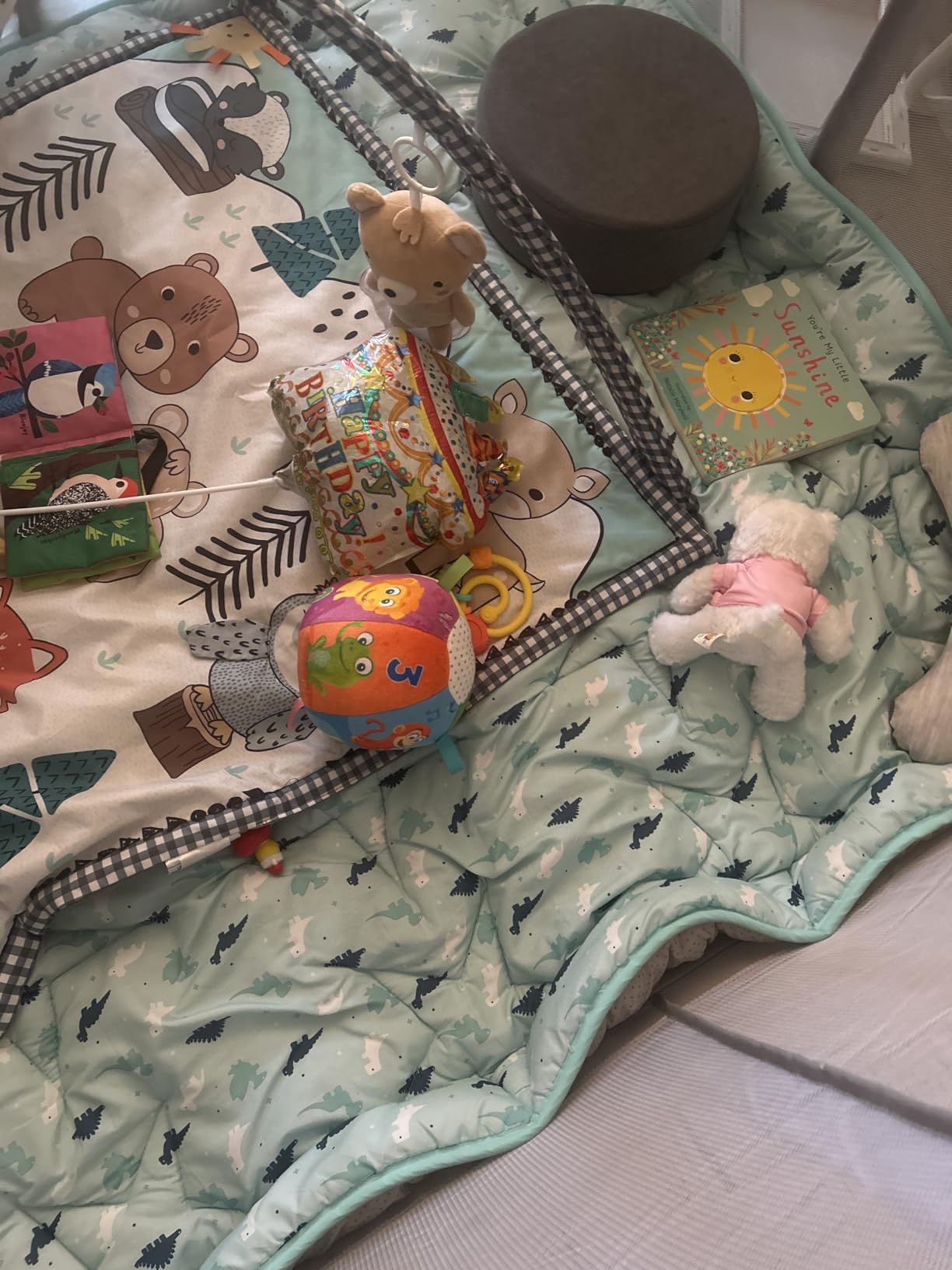 Move2Play, Hilariously Interactive Baby Ball with Music & Sound Effects | First Birthday Gift | Toddler Toy for Boys & Girls | Age 6, 9, 12, 18+ Month | 1, 2+ Year's Old (Baby Ball) - Customer Photo 4