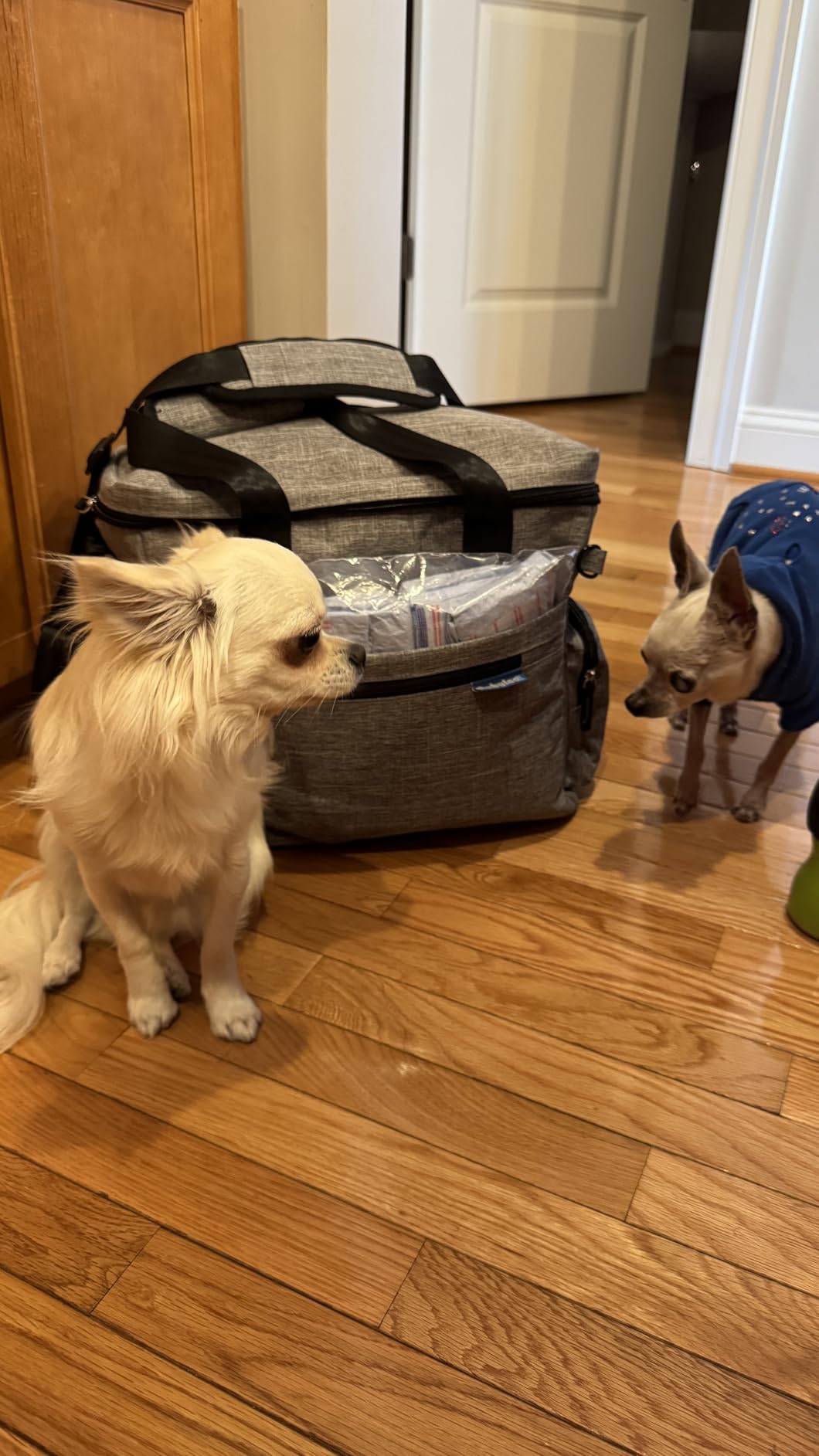 The Original Doggy Bag™- Dog Travel Bag for Supplies - Ultimate Gift for Dog Moms & Dads, Doggy Lovers & Pet Owners for Christmas- Includes 2 BPA-Free Travel Bowls and 2 Food Containers: Grey - Customer Photo 2