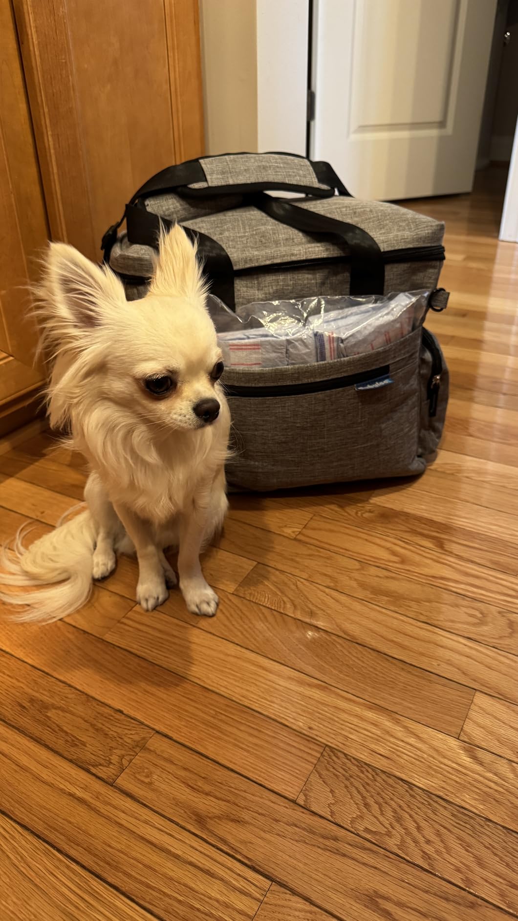 The Original Doggy Bag™- Dog Travel Bag for Supplies - Ultimate Gift for Dog Moms & Dads, Doggy Lovers & Pet Owners for Christmas- Includes 2 BPA-Free Travel Bowls and 2 Food Containers: Grey - Customer Photo 2