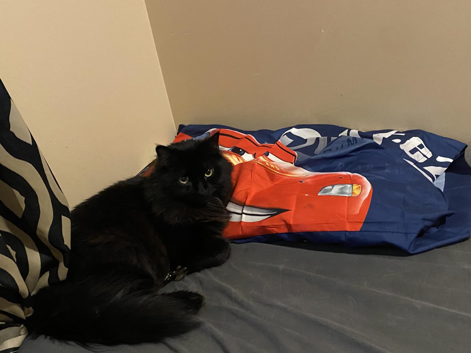 Jay Franco Stranger Things Camp Know Where 1 Pack Pillowcase - Double-Sided Kids Super Soft Bedding - Features Dustin (Official Netflix Product) - Customer Photo 2