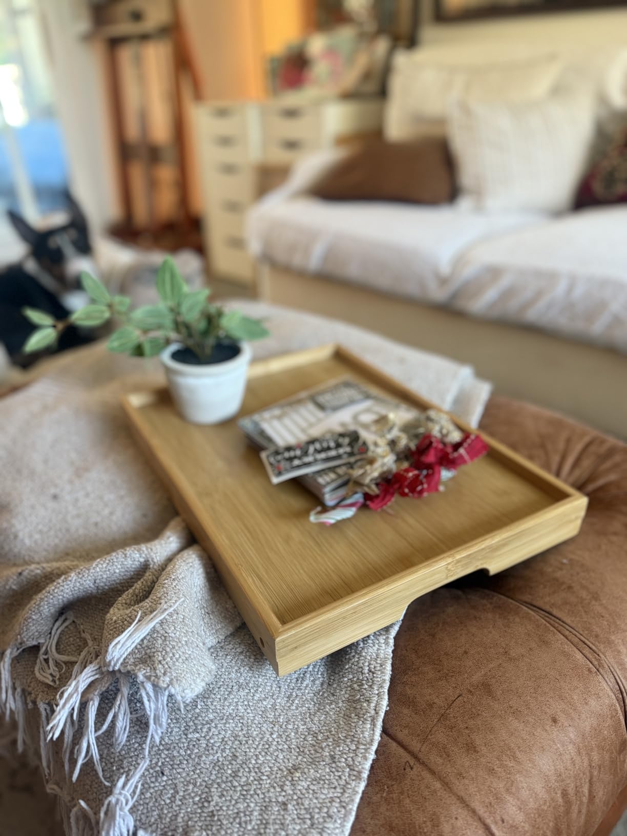 Bamboo Bed Tray Table with Foldable Legs, Breakfast Tray for Sofa, Bed, Eating, Working, Used As Laptop Desk Snack Tray by Pipishell - Customer Photo 1
