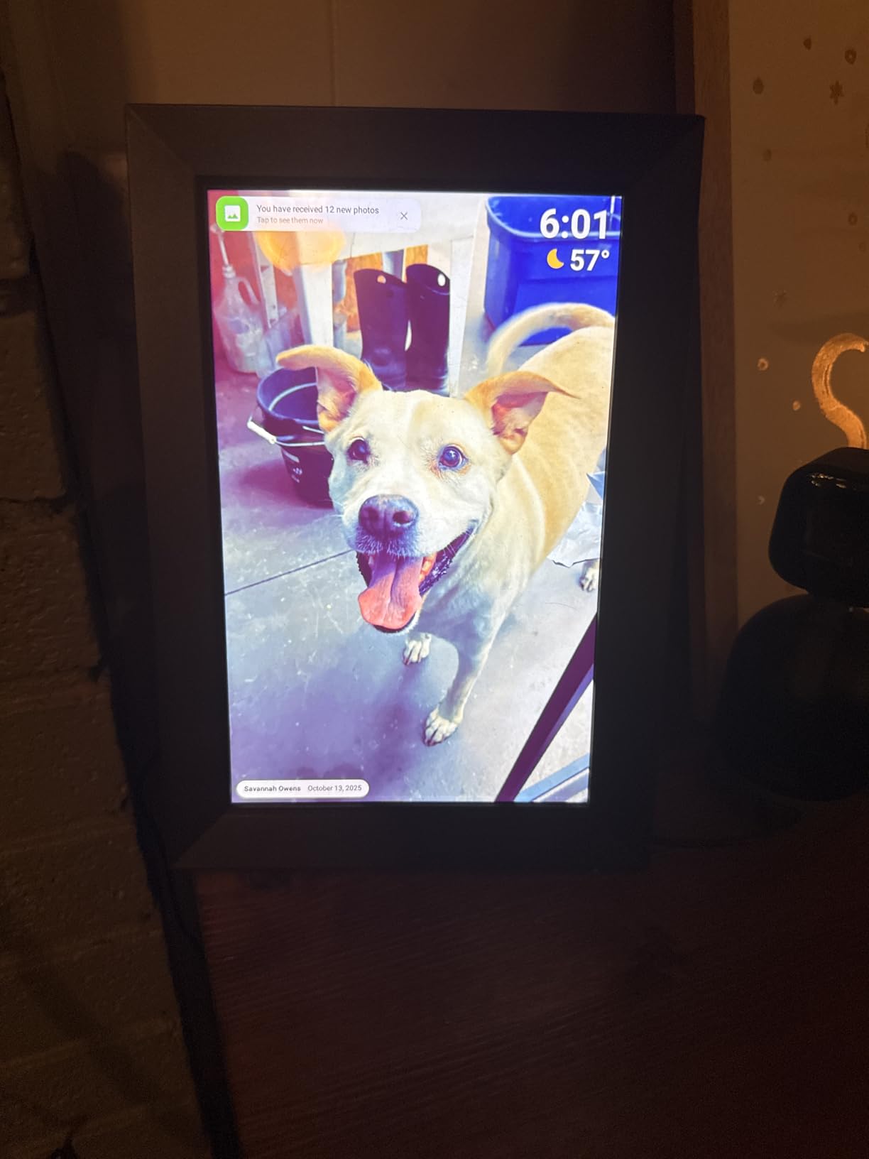 BIGASUO Digital Picture Frame, 10.1 BIGASUO Digital Picture Frame, 10.1