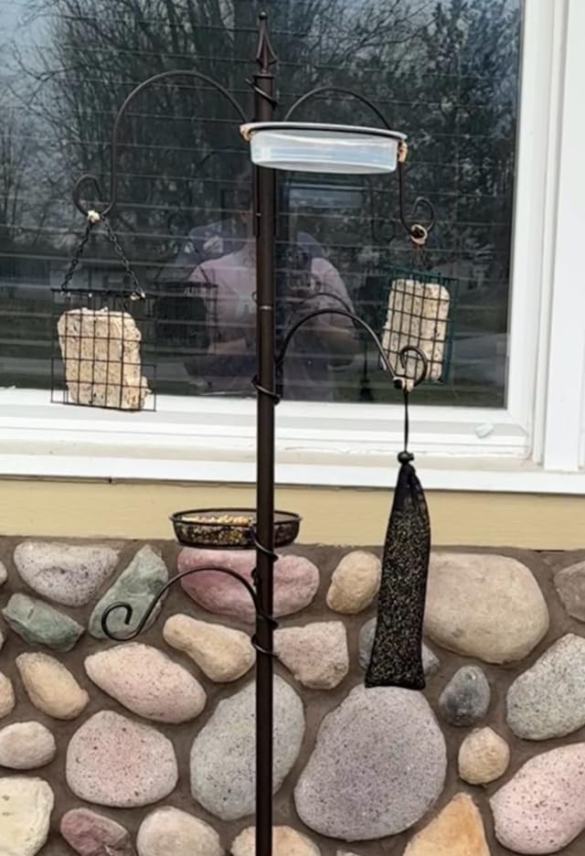 Deluxe Bird Feeding Station Kit With Multi Feeder Hanging Pole, Metal Suet Feeder, Bird Bath, Mesh Tray for Attracting Wild Birds and Planter Hanger (1 Pack) - Customer Photo 1