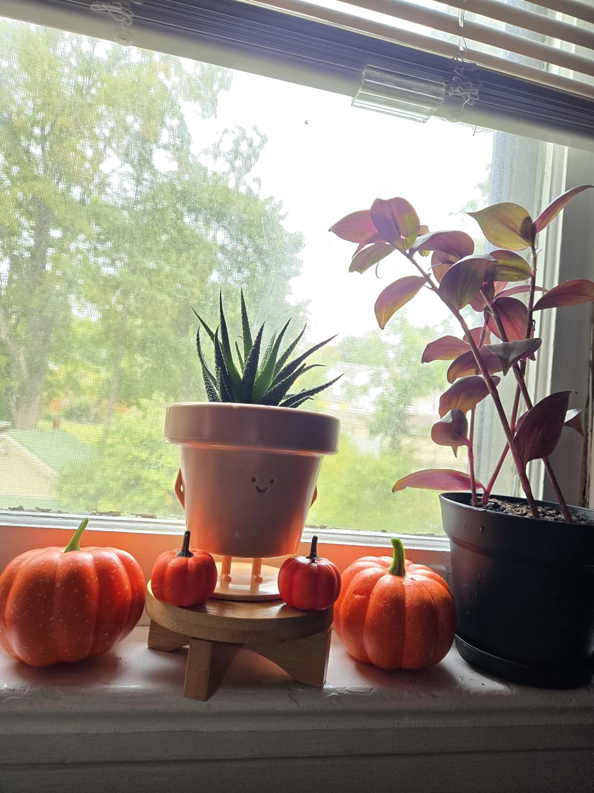 Original Earthlings Sitting Small Plant Pot - 4 Inch Cute Plant Pot - Succulent & Cactus Christmas Planters, Removable Drainage Plug, Cute Decor Plant Gifts for Plant Lovers, Teacher Gifts - Customer Photo 2