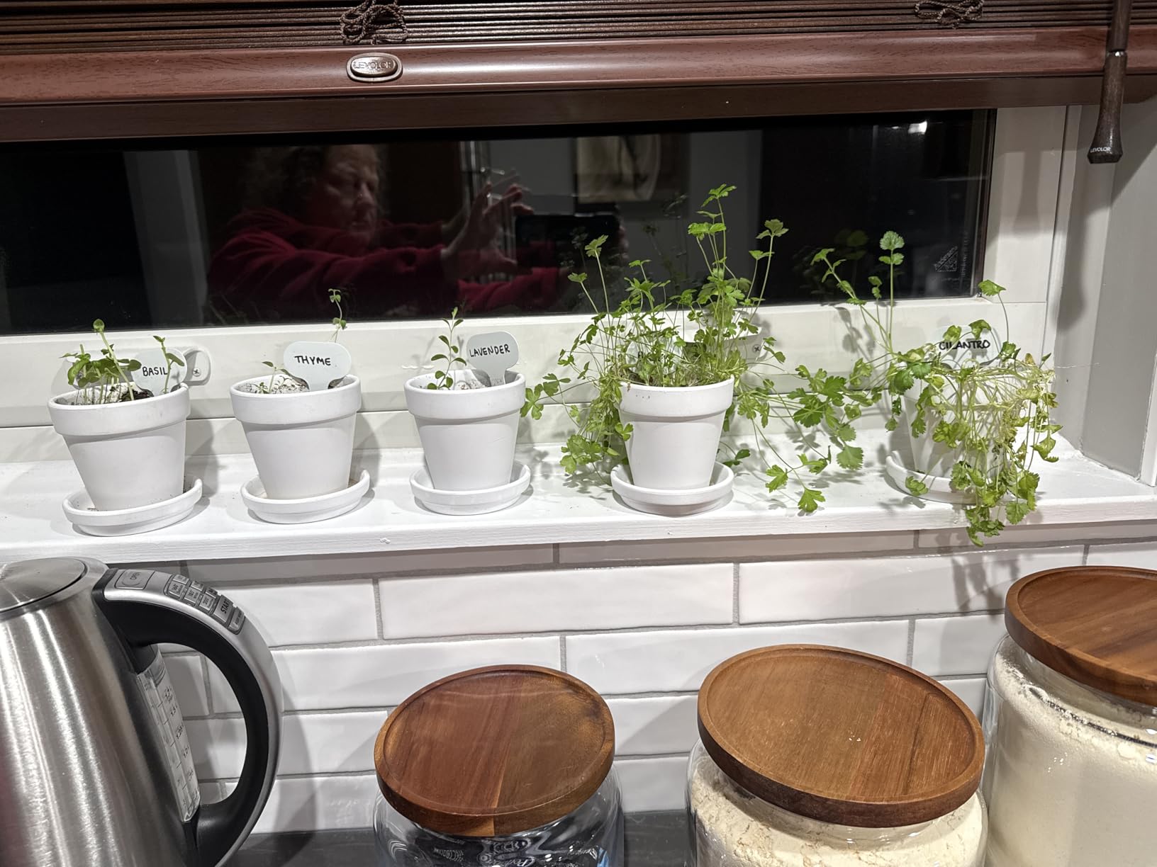 HOME GROWN Gift Herb Kit – 8 Herb Seeds Set with Basil, Cilantro, Mint & More, Complete Indoor Grow Kit for Kitchen, Gardening Gifts for Women & Men - Customer Photo 1