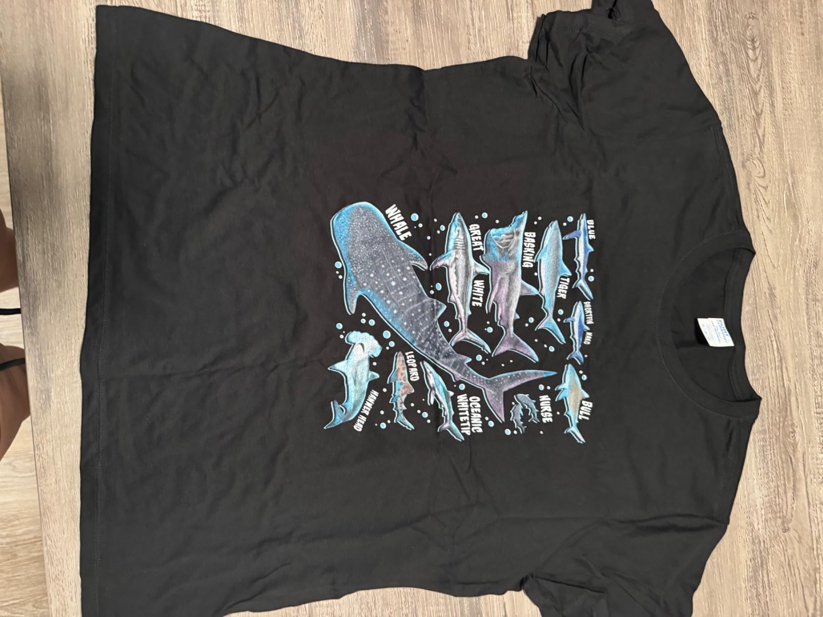 Shark Species Shark Gifts Shark Faces Tee Marine Biology T-Shirt Customer Review Shark Species Shark Gifts Shark Faces Tee Marine Biology T-Shirt - Customer Photo 1