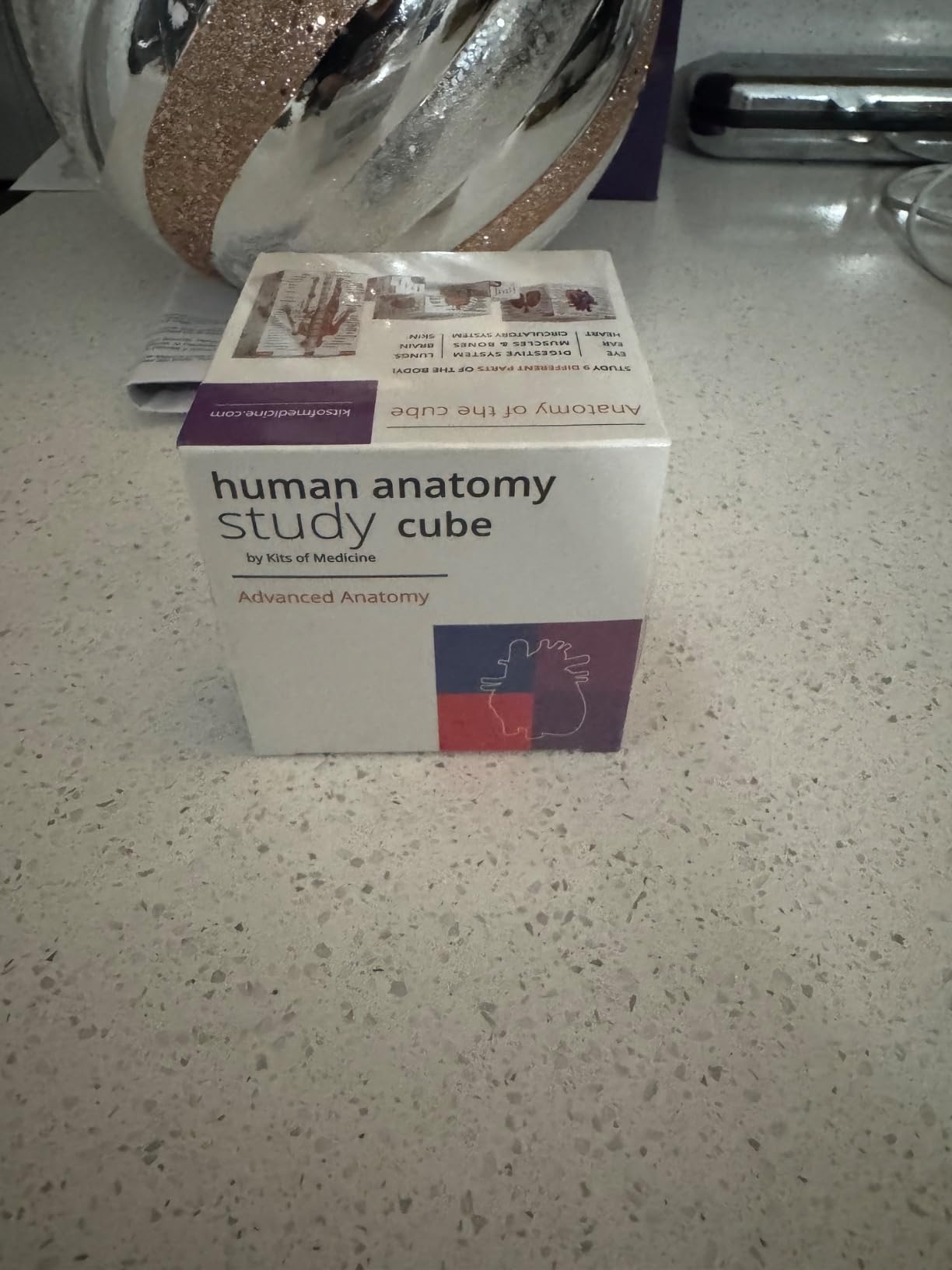 Human Anatomy Study Cube | Study 9 Parts of The Human Body | Perfect Anatomy Revision Guide | Addictive Anatomy Model Cube | Great Gift for Nurse, Dentist, Medical Students - Customer Photo 4