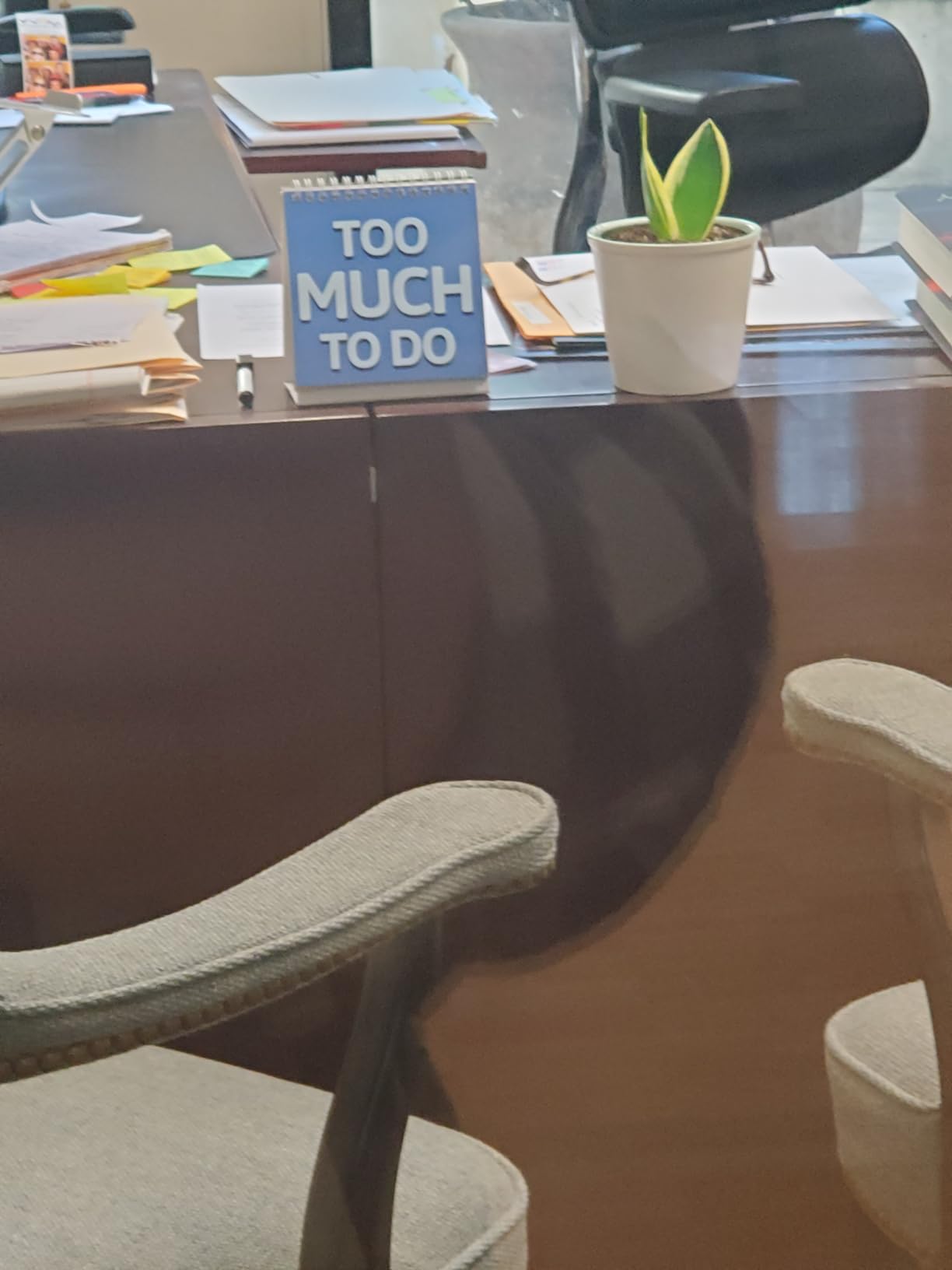 Fancy Land Funny Desk Signs 30 Different Fun and Flip-Over Messages for Office Desk Accessories - Customer Photo 3