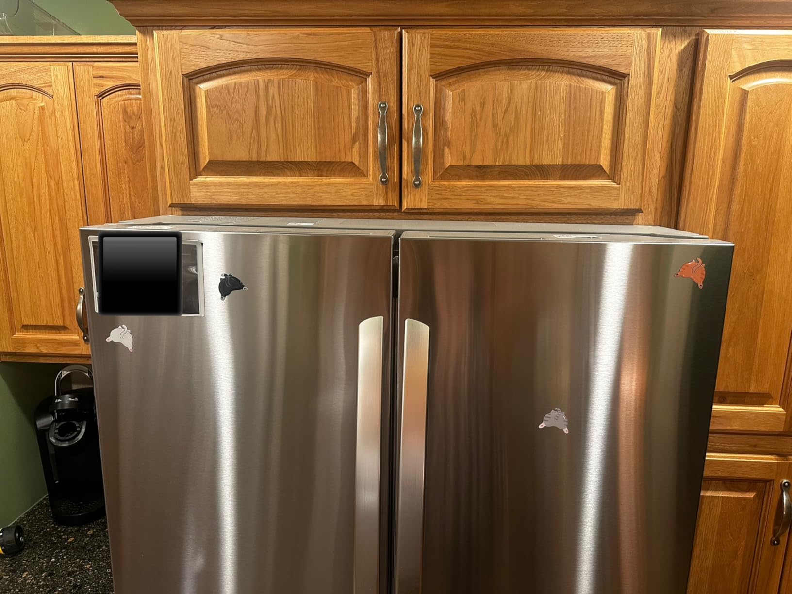 Pearhead Cat Bum Kitchen Magnets, Pet Themed Refrigerator Magnets, Funny Novelty Gift for Cat Lovers and Pet Parents, Ideal Decor for Home, School Locker and Office Whiteboard, Set of 4 - Customer Photo 1