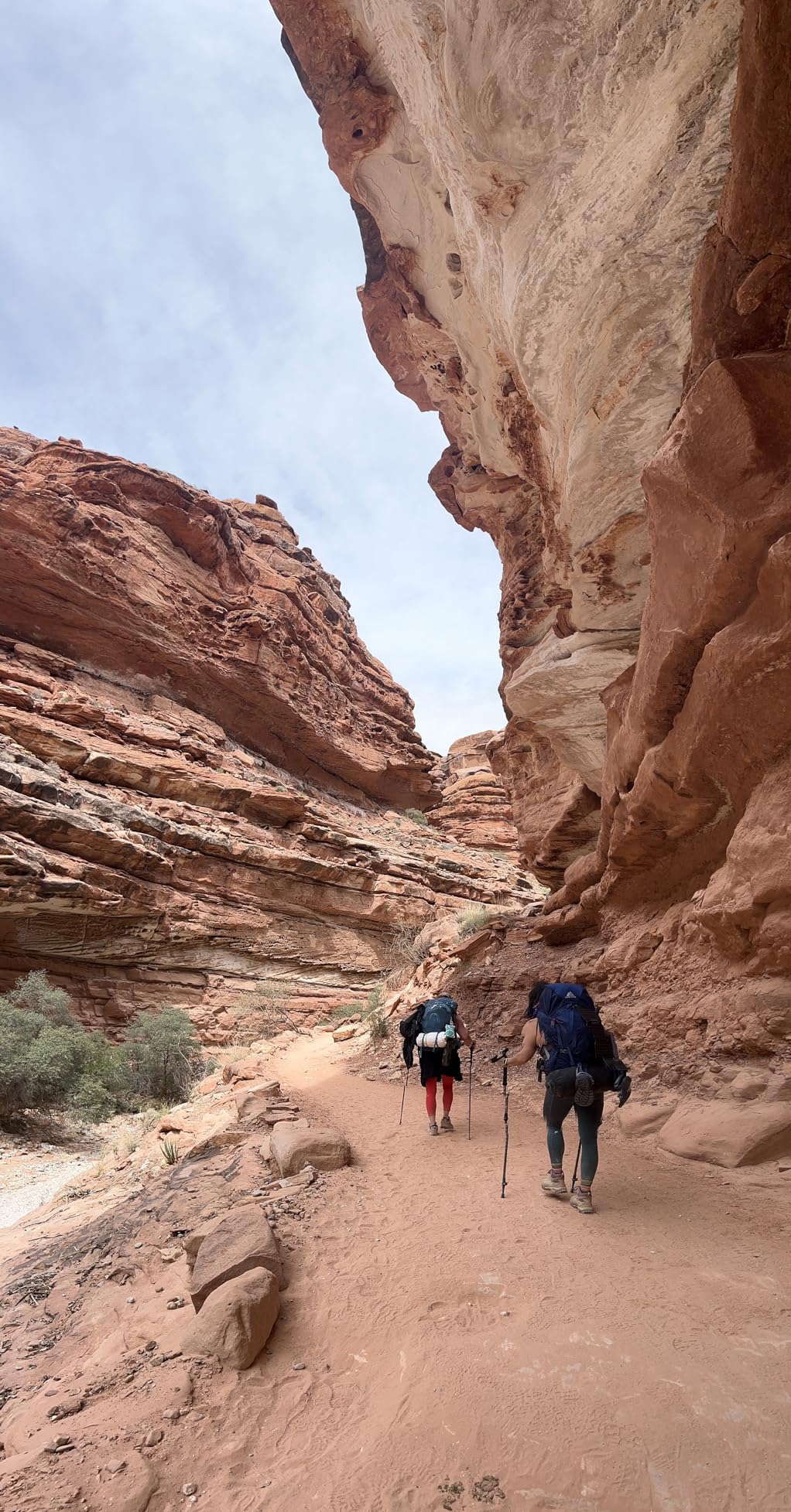 Lewis N. Clark EllaPee Female Urination Device - Customer Photo 1