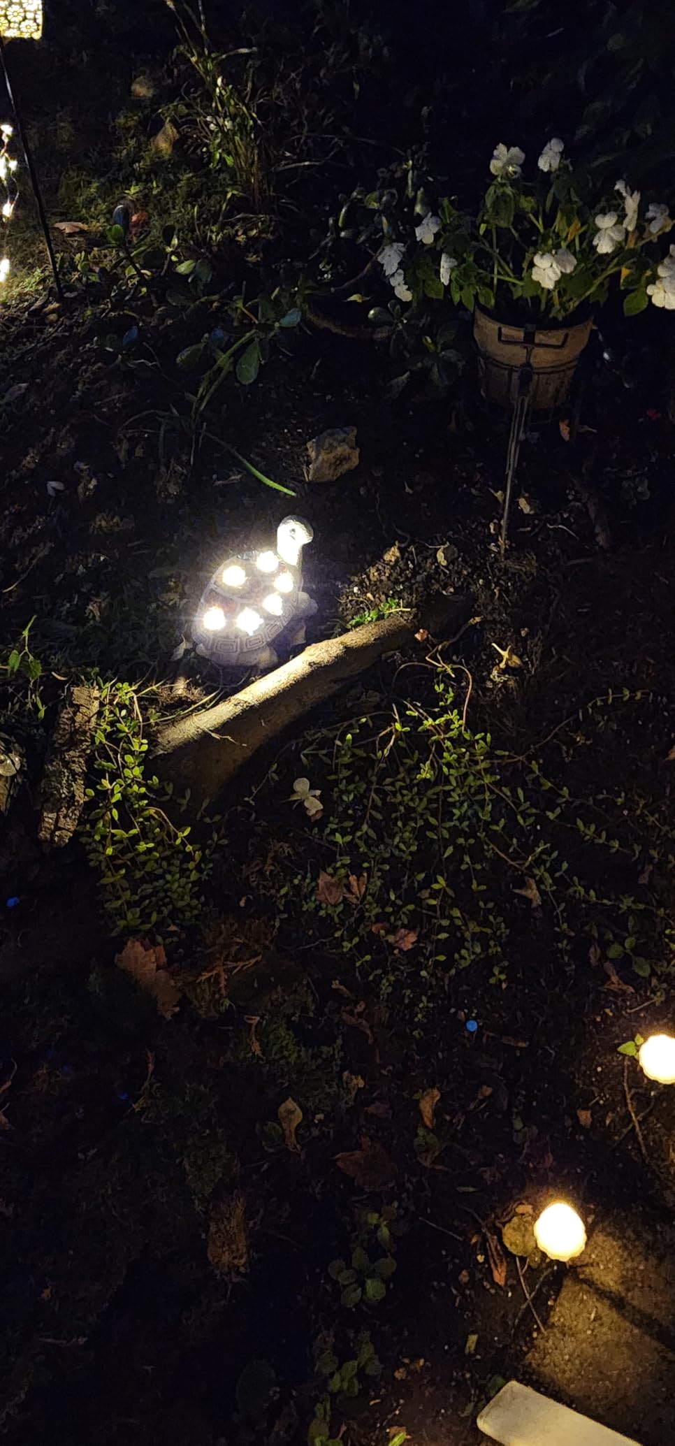 Nacome Solar Garden Outdoor Statues Turtle with Succulent and 7 LED Lights - Lawn Decor Tortoise Statue for Patio, Balcony, Yard Ornament - Chrismtas Gifts for Mom Grandma - Customer Photo 2