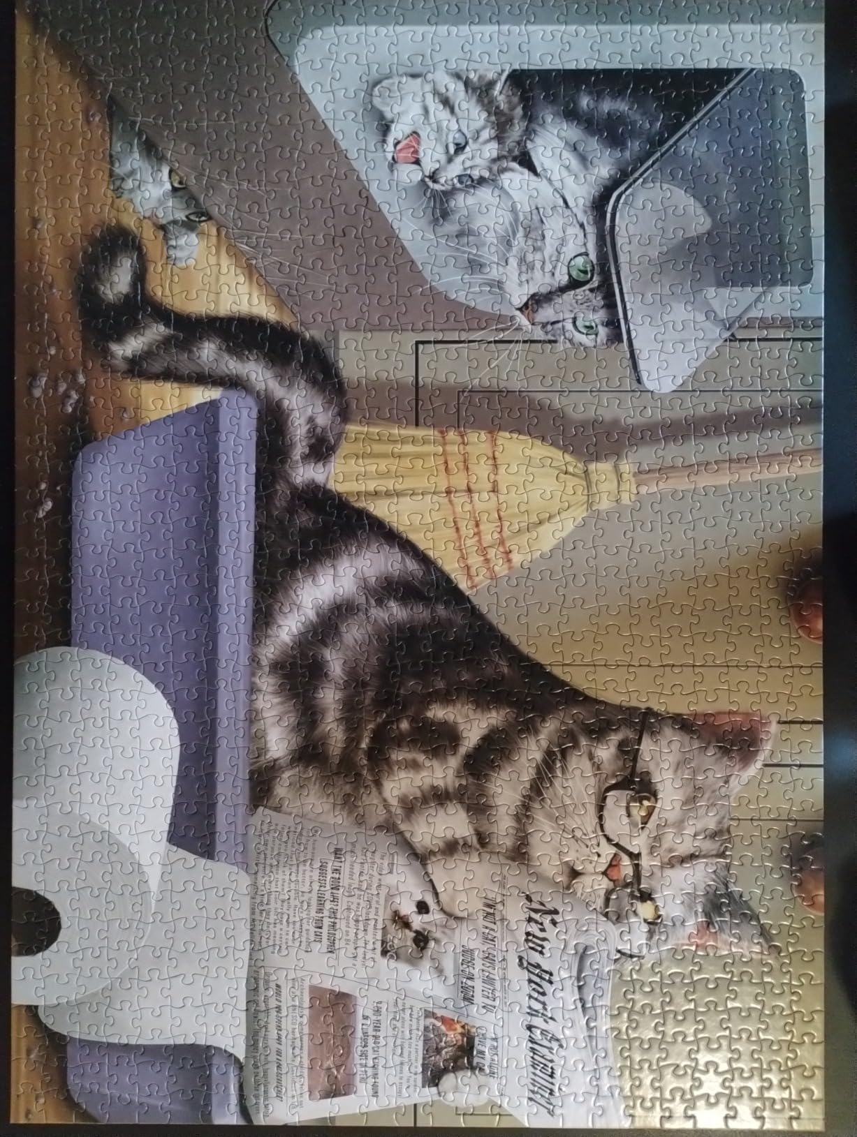 1000 Piece Jigsaw Puzzle Crappy Cat Meow Time Gag Gifts for Women Cat Pooping Puzzle Funny White Elephant Gift - Customer Photo 1