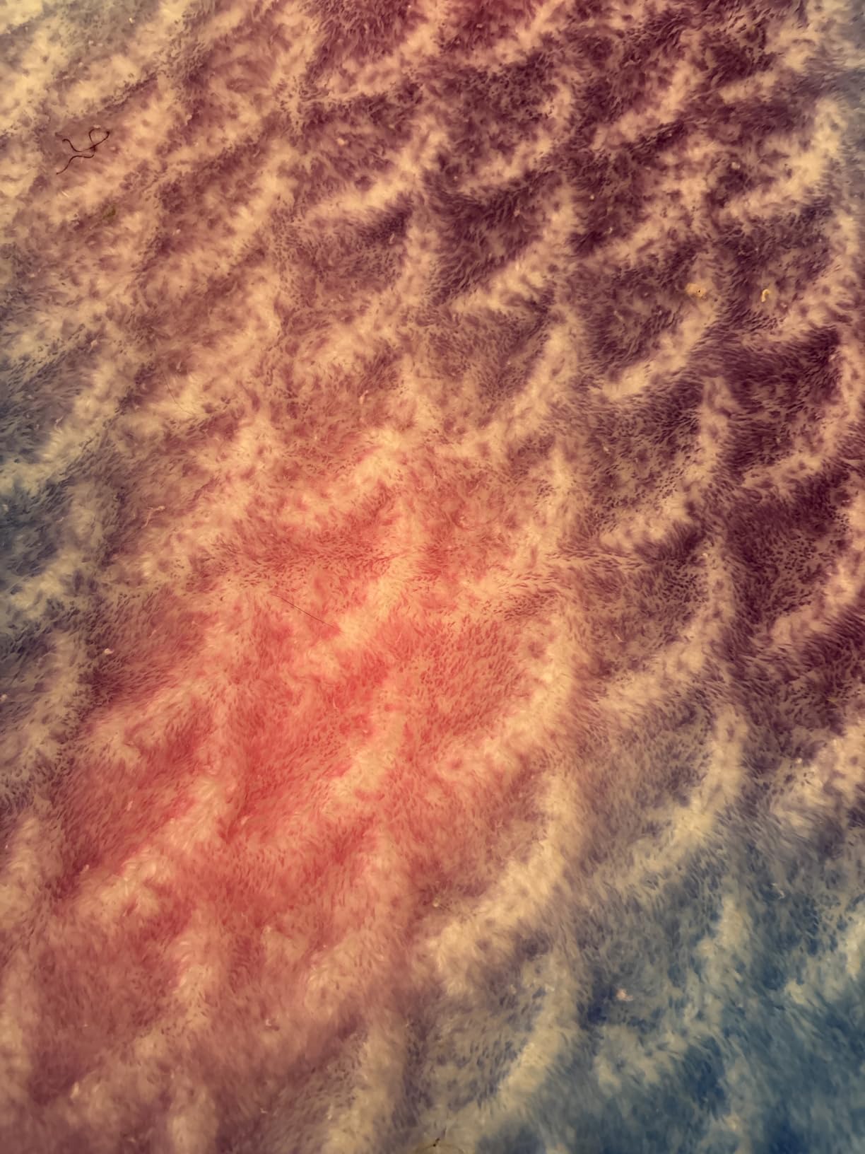 Catalonia Kids Mermaid Tail Blanket, Super Soft Plush Flannel Sleeping Snuggly Blanket for Girls, Galaxy, Fish Scale Pattern, Kids Gift Idea - Customer Photo 3