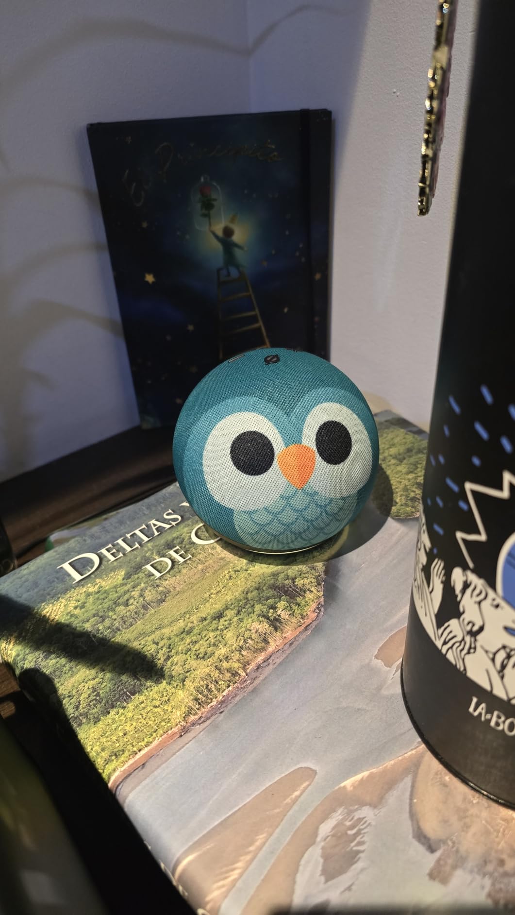 Echo Dot Kids (newest model) - Designed for kids, Designed for Alexa+, parental controls, Includes 1 Year of Amazon Kids+, Owl customer photo 2