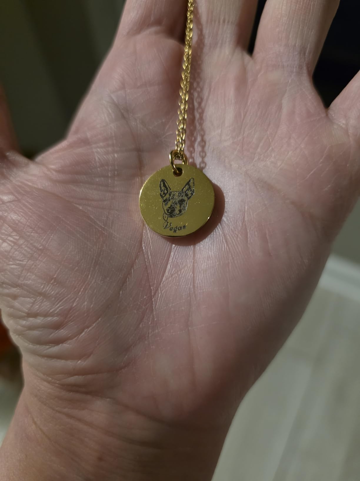 Anavia Personalized Pet Portrait Necklace, Handmade Memorial Jewelry Gift, Custom Round Disc Photo Engraved Necklace for Animal Lovers, Dog Mom, Dog Dad - Customer Photo 2