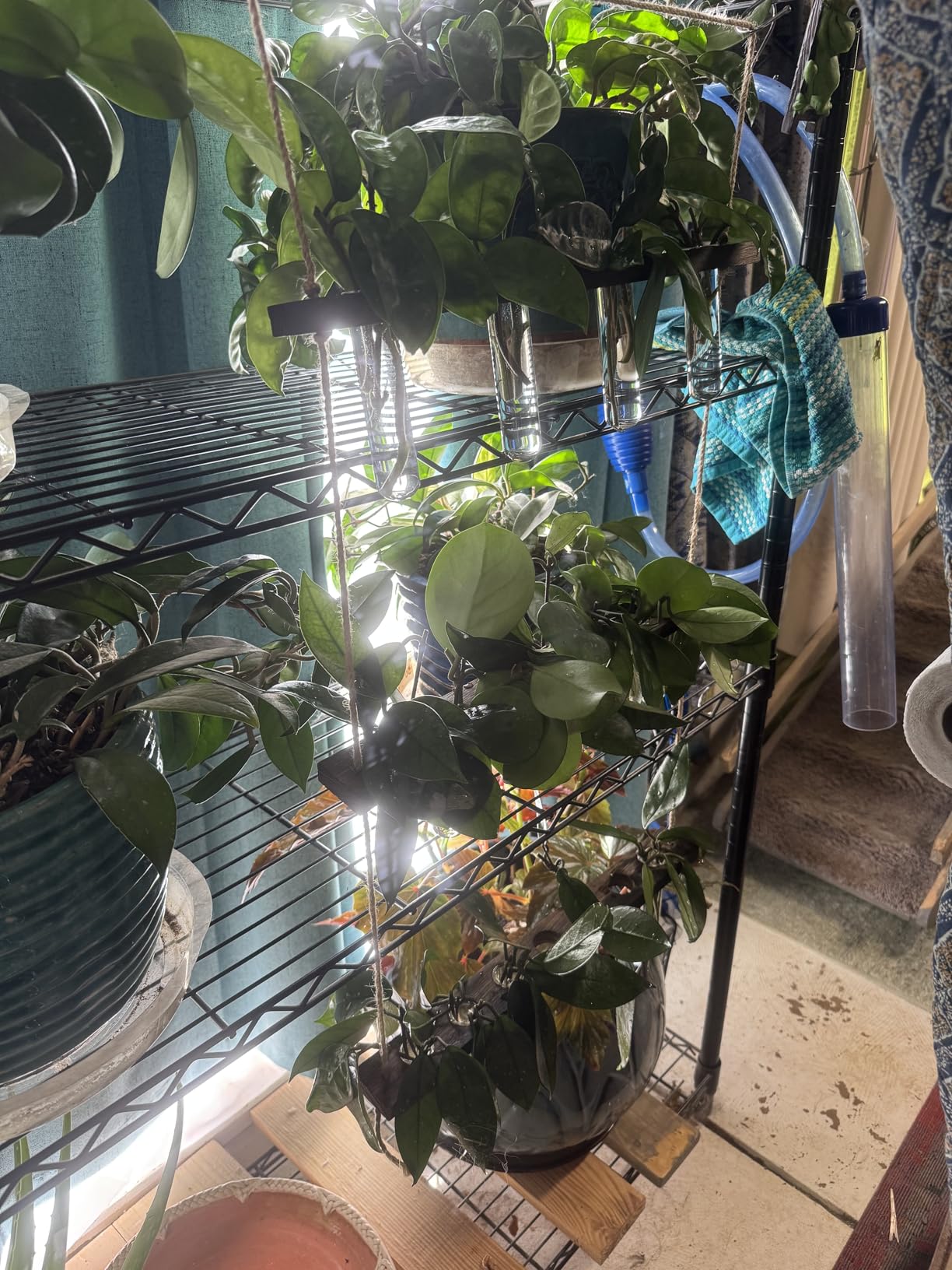 XXXFLOWER Wall Hanging Propagation Station with Wooden Stand 5 Glass Test Tubes 3 Tiered Planters Wall Terrarium for Home Office Plant Hanger Flower Vases Wall Decor Hydroponic Cuttings - Customer Photo 1