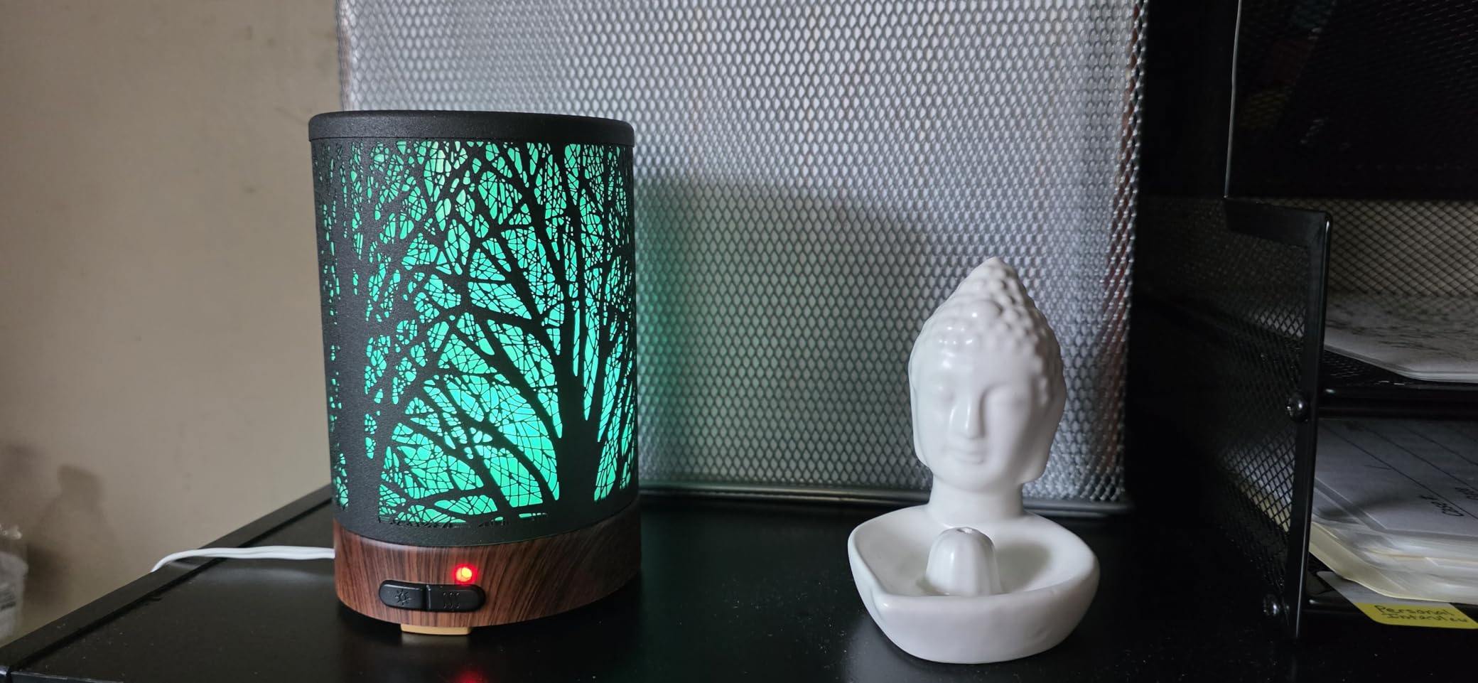 Essential Oils Diffuser,Aromatherapy Diffuser,Birthday for Women Mom Grandma,Metal Cool Mist Humidifier with 7 Colors Lights Waterless Auto Off Air Diffusers (Dragonfly) - Customer Photo 1