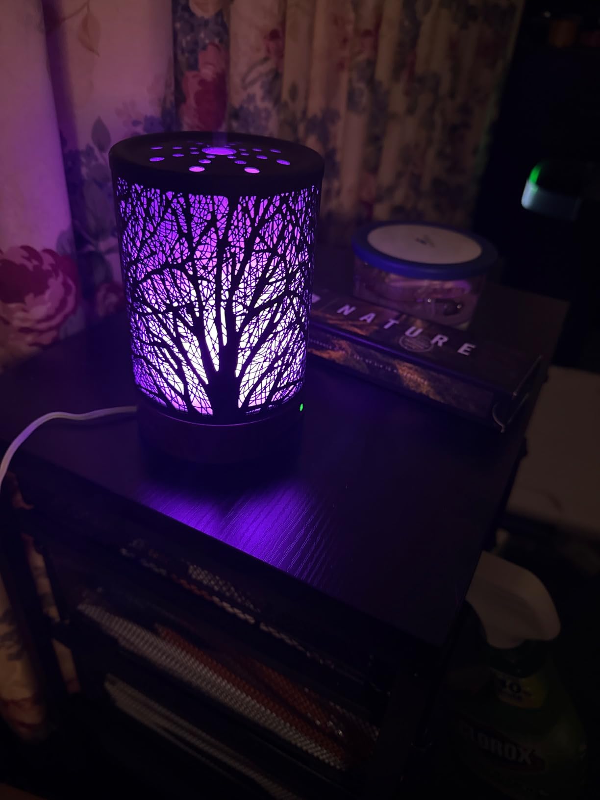 Essential Oils Diffuser,Aromatherapy Diffuser,Birthday for Women Mom Grandma,Metal Cool Mist Humidifier with 7 Colors Lights Waterless Auto Off Air Diffusers (Dragonfly) - Customer Photo 2