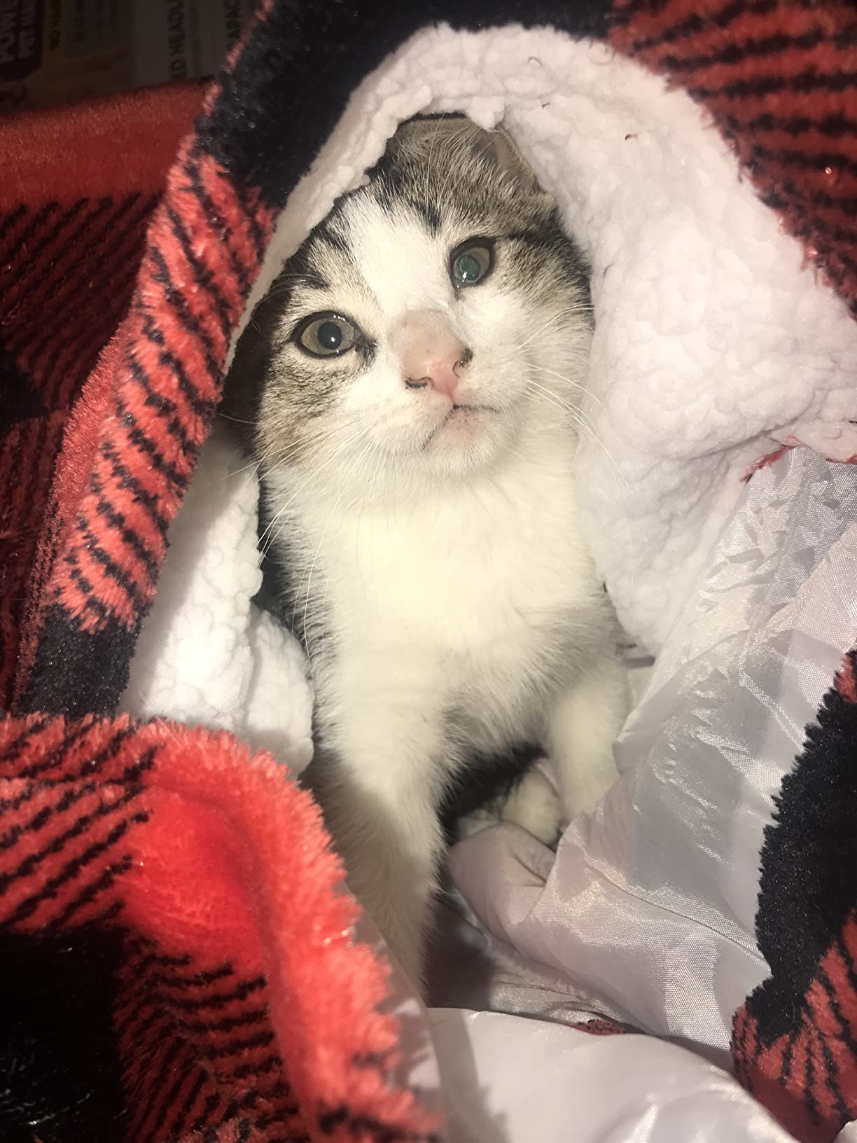 Krifey Wearable Blanket Hoodie, Oversized Sherpa Fleece Sweatshirt with Giant Pocket, Birthday Gifts for Women, Warm Christmas Gift for Mom, Sister - Customer Photo 1