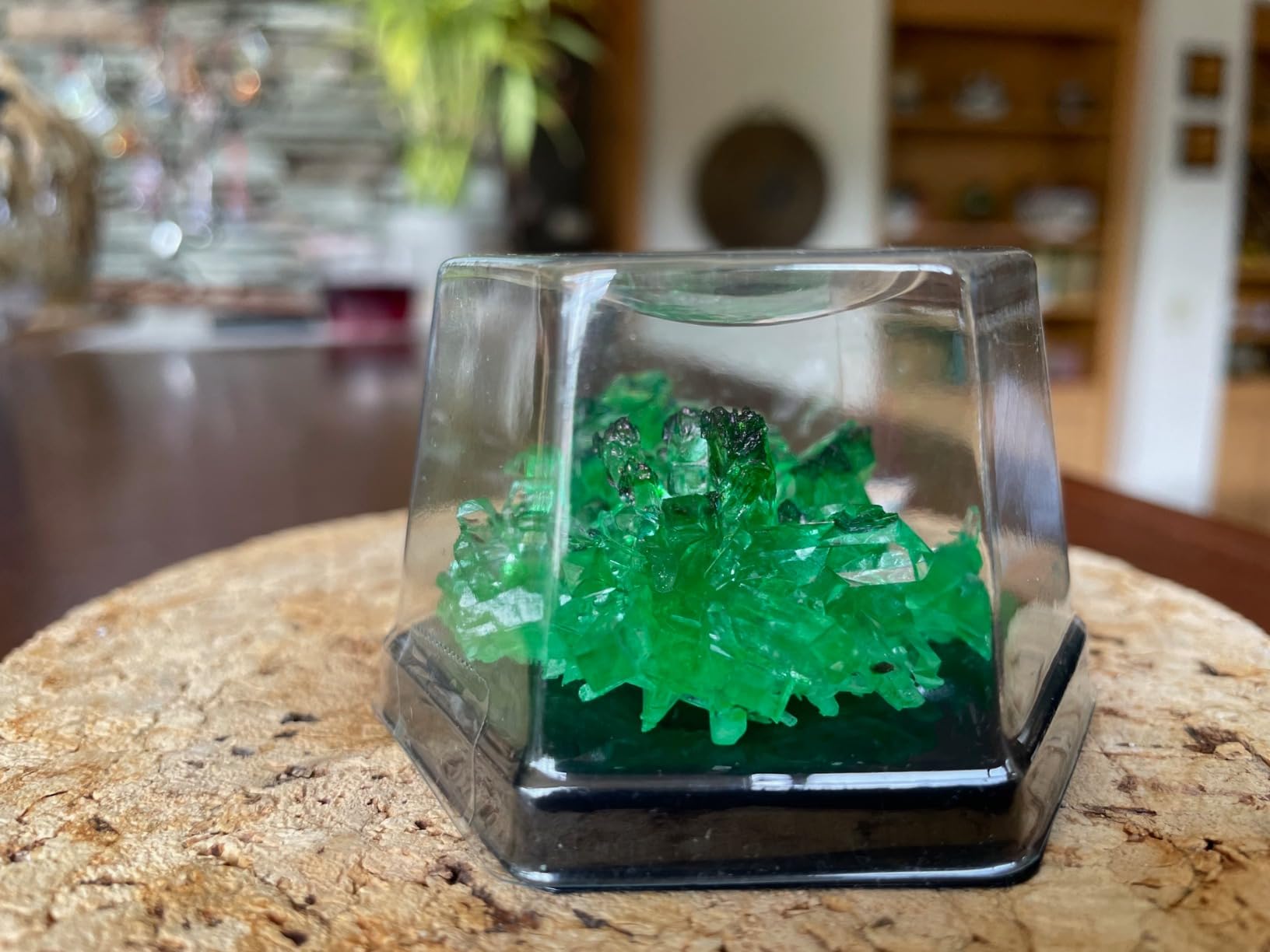 Dan&Darci Crystal Growing Kit for Kids - Science Experiments Gifts for Boys & Girls Ages 8-14 Year Old - Toys Teen Age Boy/Girl Arts & Crafts Kits - Cool Projects Ideas 8 9 10 11 12 Yr Olds Customer Review Dan&Darci Crystal Growing Kit for Kids - Science Experiments Gifts for Boys & Girls Ages 8-14 Year Old - Toys Teen Age Boy/Girl Arts & Crafts Kits - Cool Projects Ideas 8 9 10 11 12 Yr Olds - Customer Photo 3