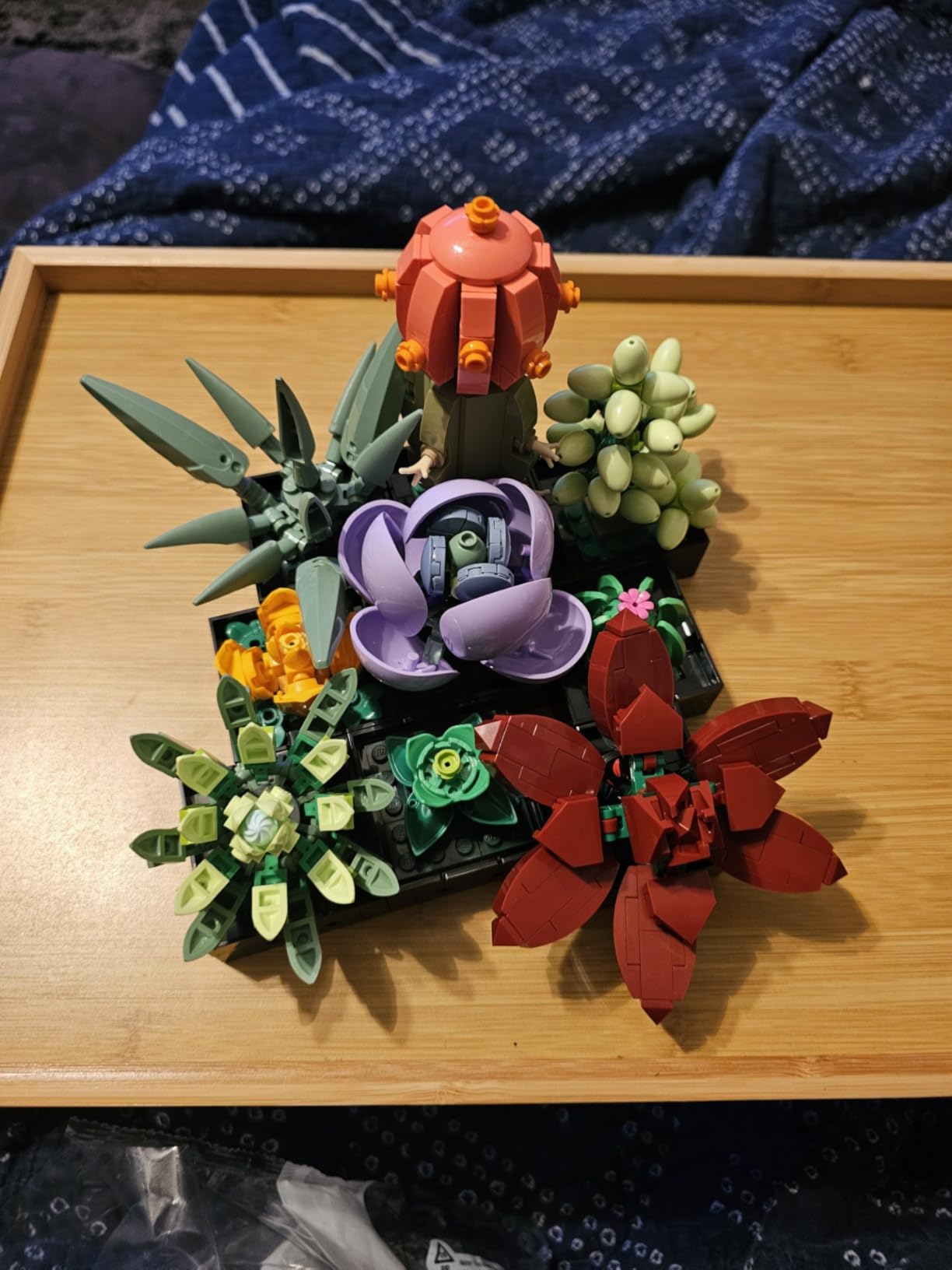 LEGO Botanicals Succulents - Artificial Indoor Plant Building Set for Home, Kitchen, Desk Decor Adults Ages 18+ - Gift for Birthdays - 10309 - Customer Photo 1