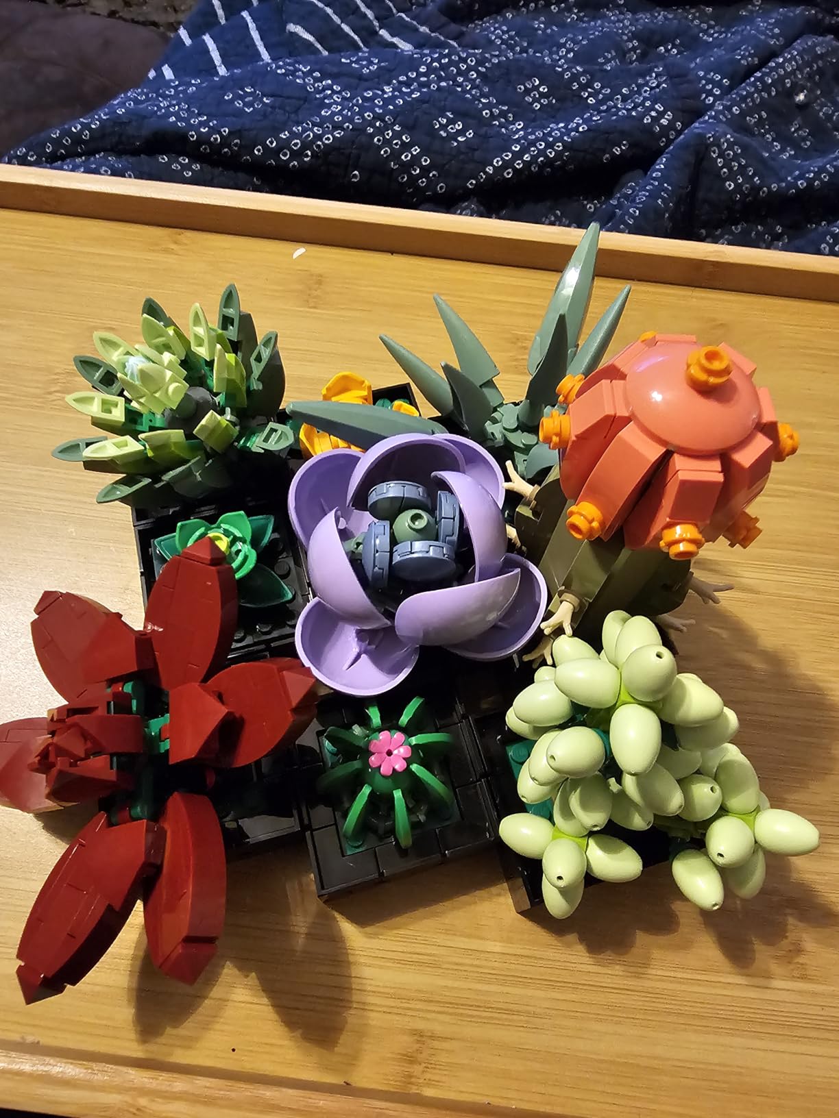 LEGO Botanicals Succulents - Artificial Indoor Plant Building Set for Home, Kitchen, Desk Decor Adults Ages 18+ - Gift for Birthdays - 10309 - Customer Photo 2