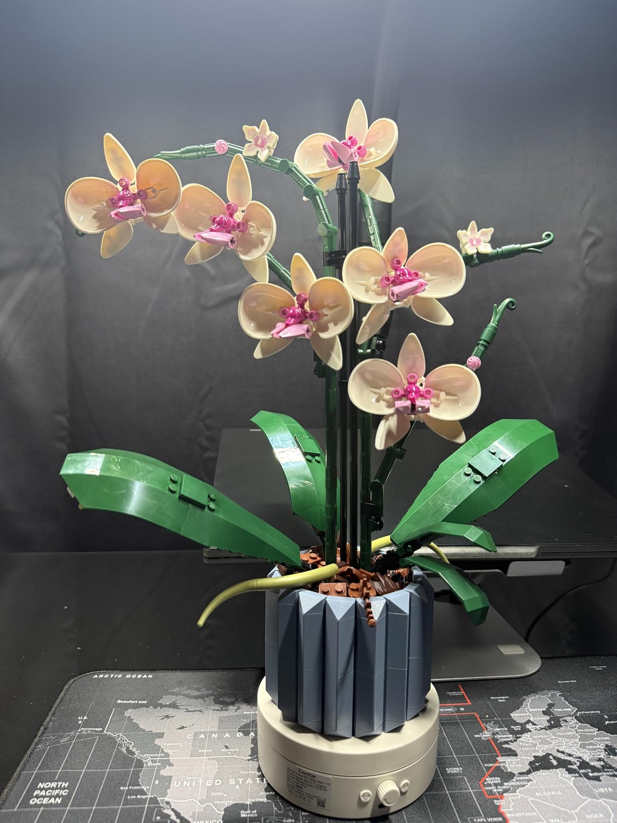 LEGO Botanicals Orchid - Artificial, Fake Indoor Flowers Building Set for Home, Kitchen, Desk Decoration, Adults Ages 18+ - Gift for Birthdays - 10311 - Customer Photo 1