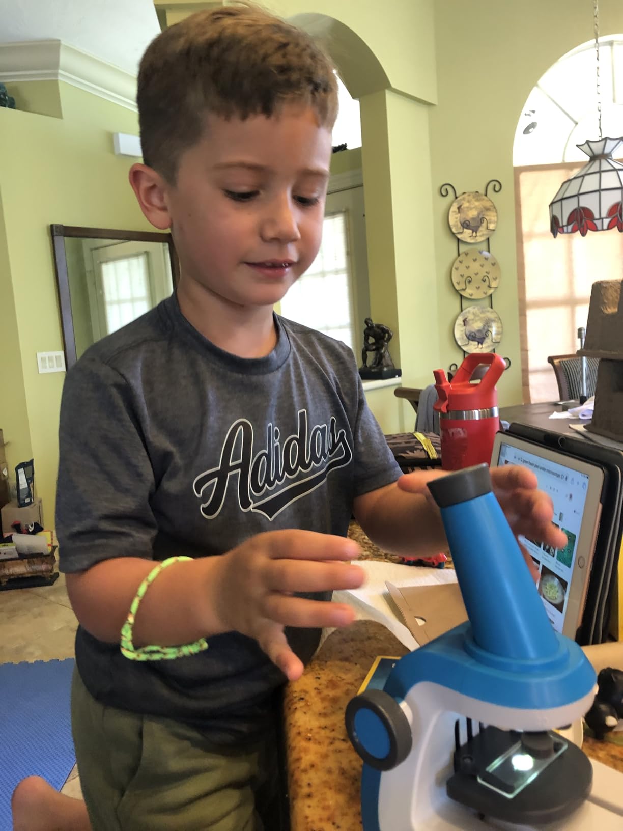 NATIONAL GEOGRAPHIC Microscope for Kids - Science Kit with an Easy-to-Use Kids Microscope, Up to 400x Zoom, Blank and Prepared Slides, Rock & Mineral Specimens, STEM Project Toy - Customer Photo 1