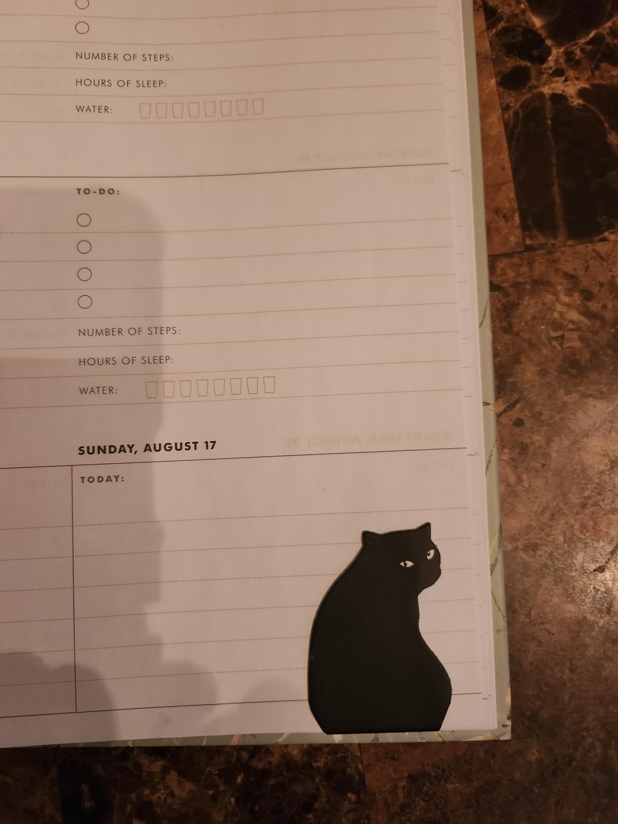 yasest Magnetic Bookmarks - 6 Pieces Assorted Cute Book Markers Clip Set for Women Teachers Students Book Lovers Reading, for School Office Home Supplies, Kawaii Cat Magnet Page Markers - Customer Photo 1