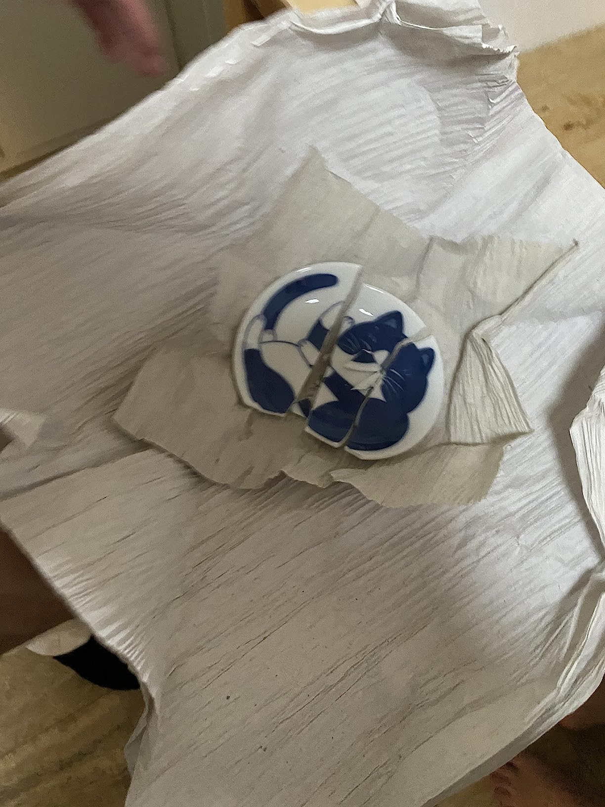 Dessert Sushi Soy Sauce Salad Small Plate Set Ceramic Cats Design Set of 5 Made In Japan Sleeping Cat - Customer Photo 1